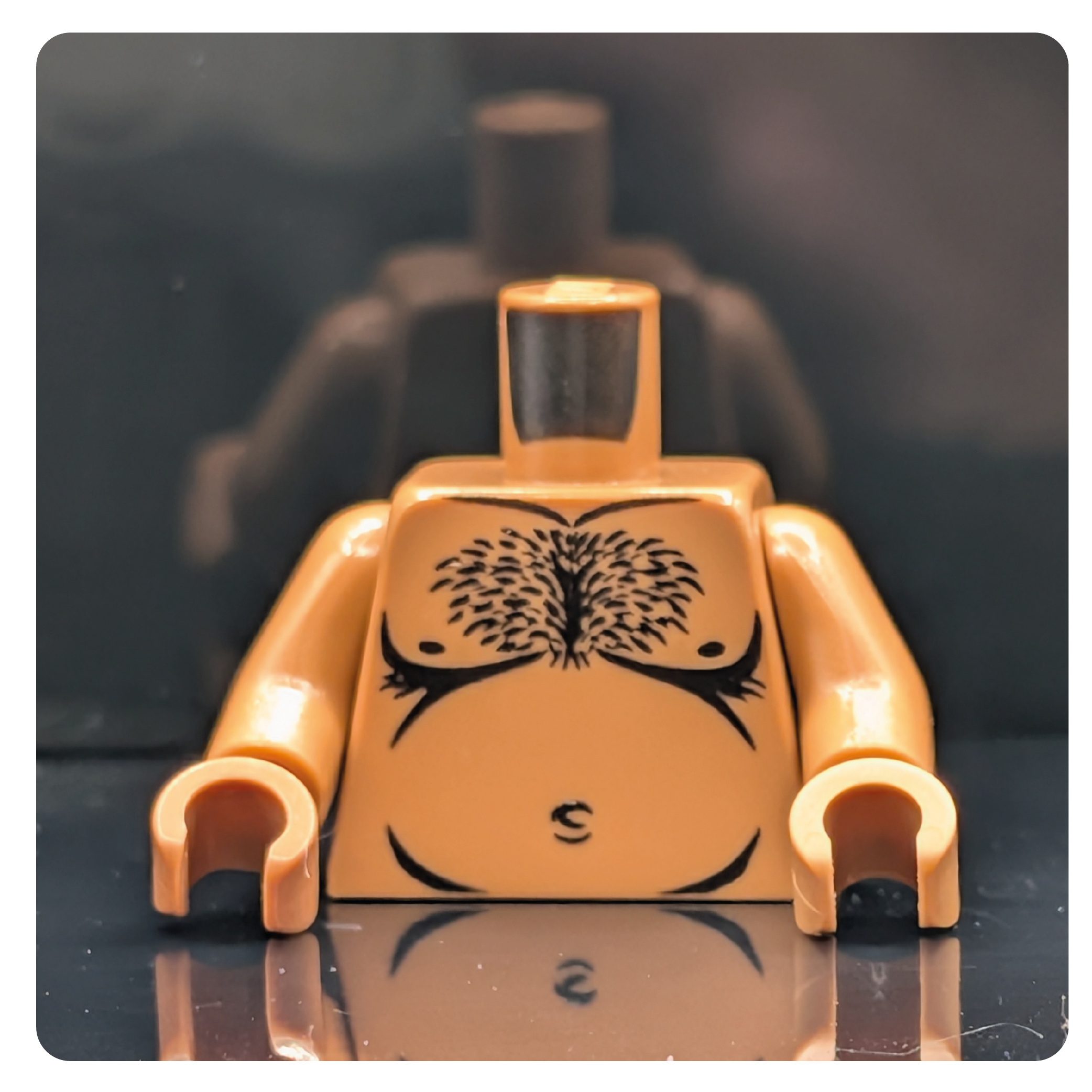 HoB Custom Torso - Big Mexican Guy