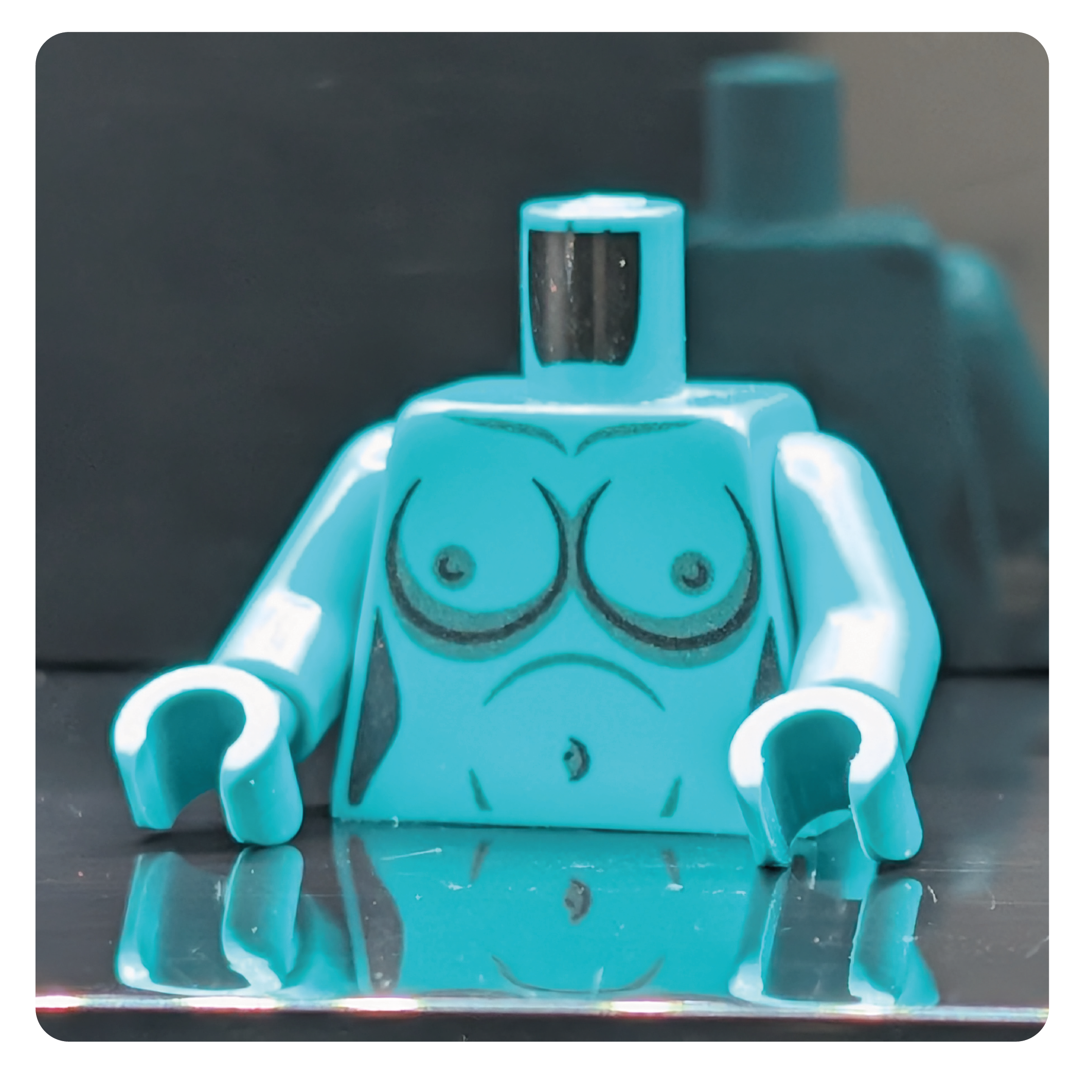 HoB Custom Torso - Boobies XL Rodianer