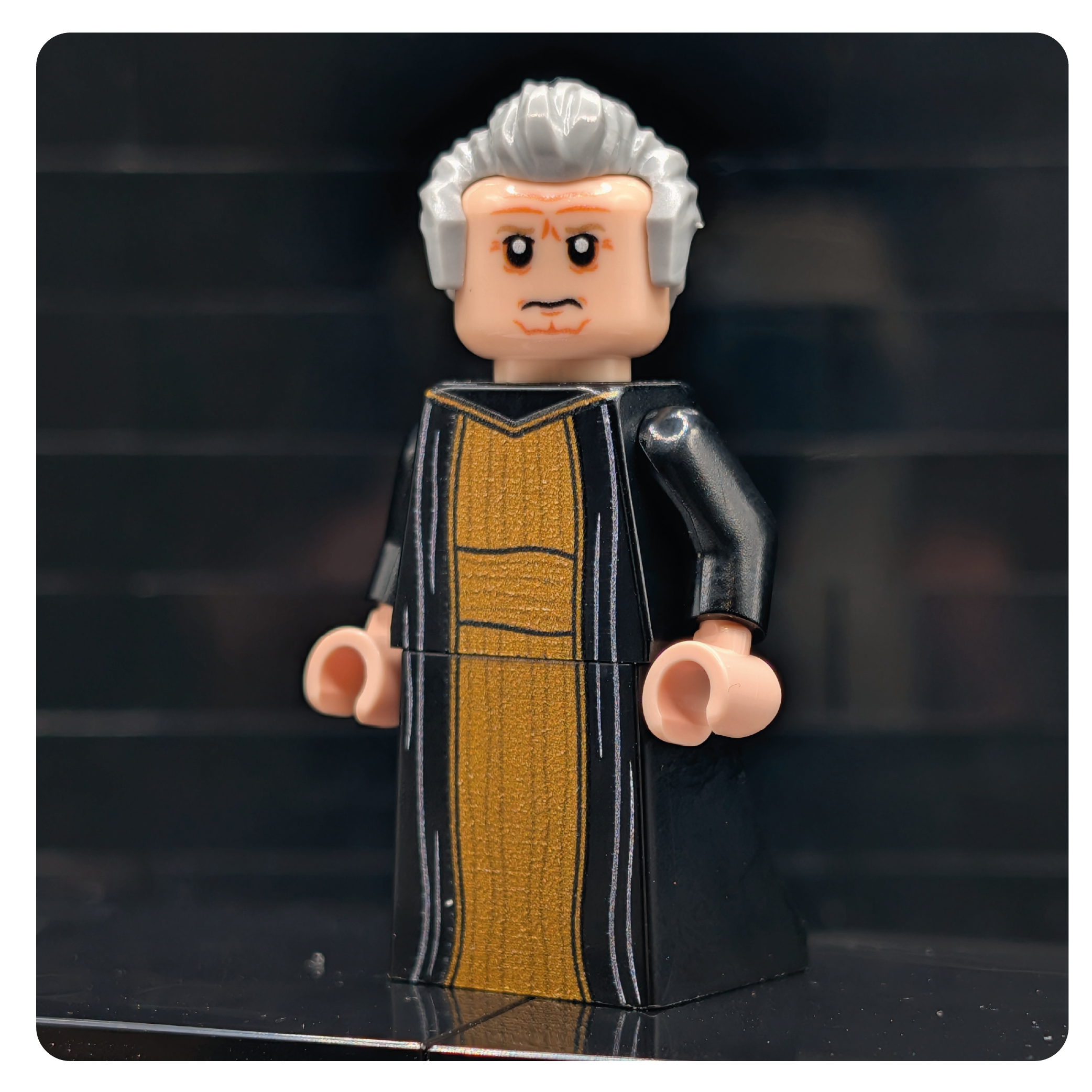 SW Customs Collectible Figure – The Strategic Senator