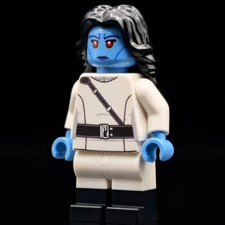SW Customs Collectible Figure – The Chiss Strategic Visionary