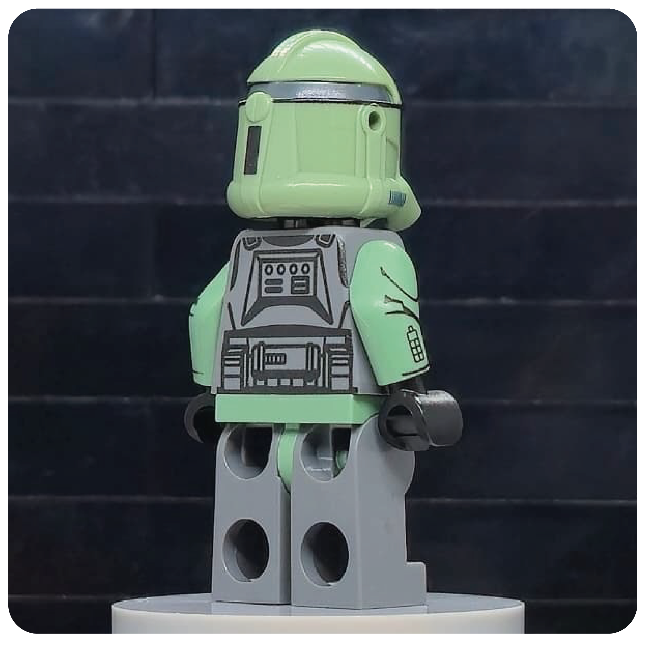 SW Customs Collectible Figure - Kashyyyk Clone Trooper