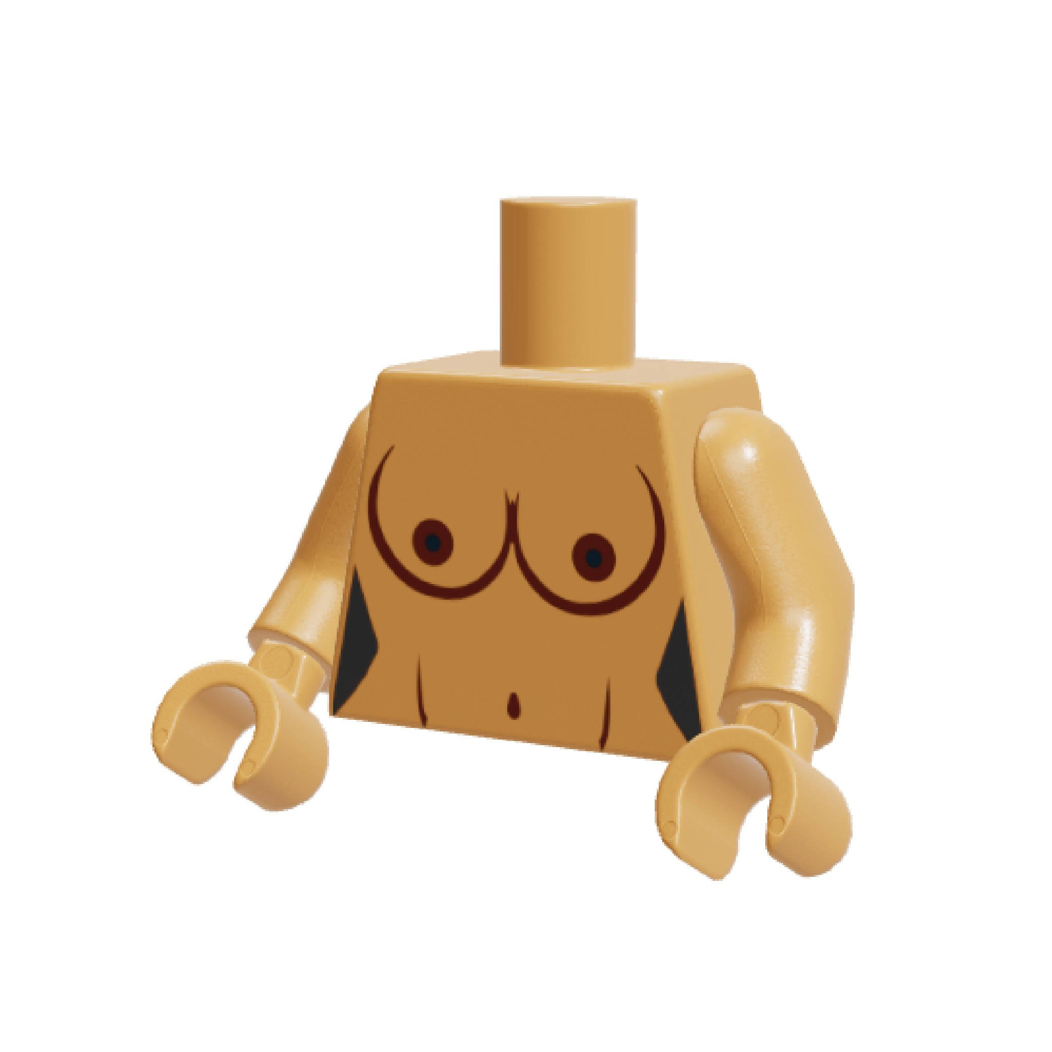 HoB Custom Torso - Mexican Boobies