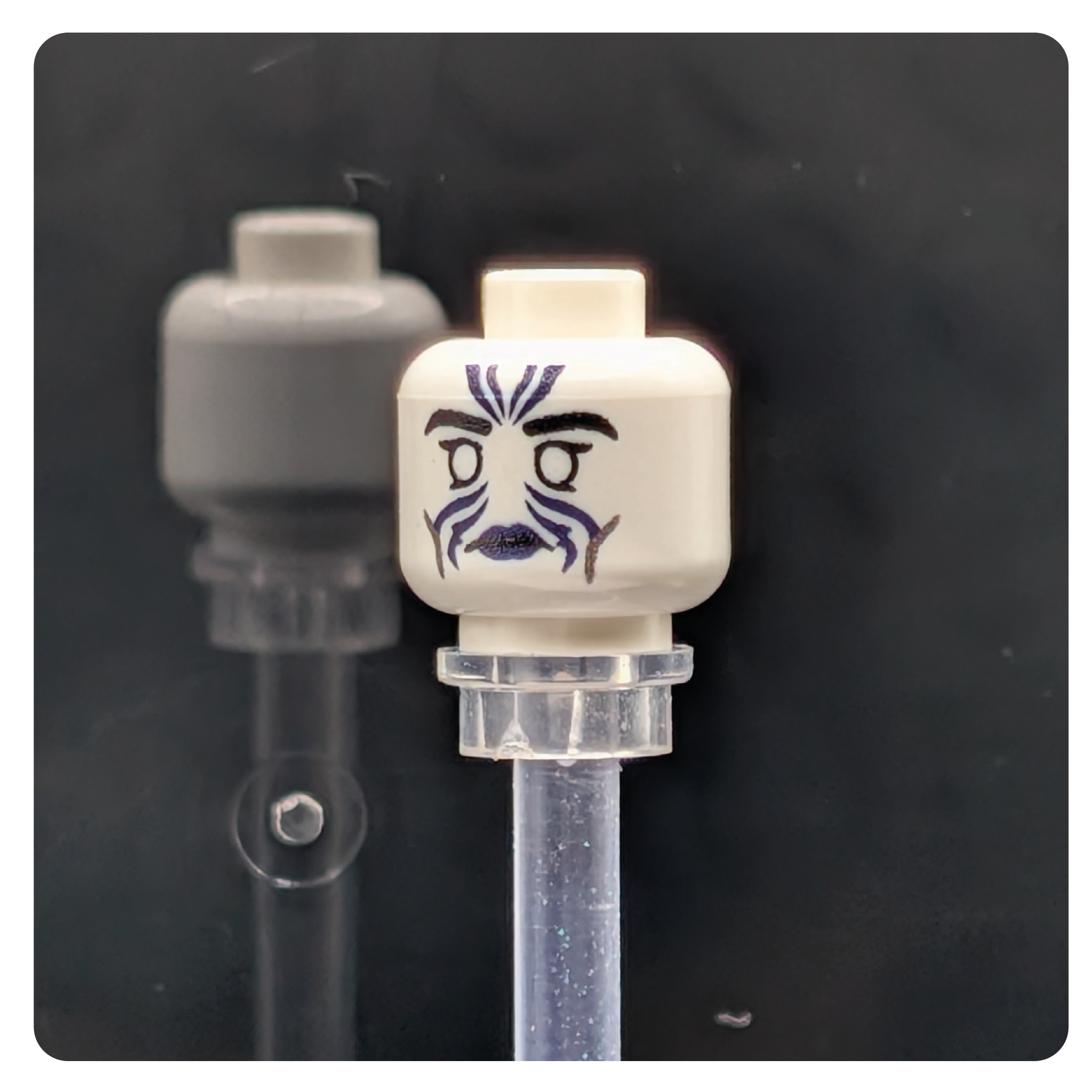 SW Customs Head - Rattataki Female