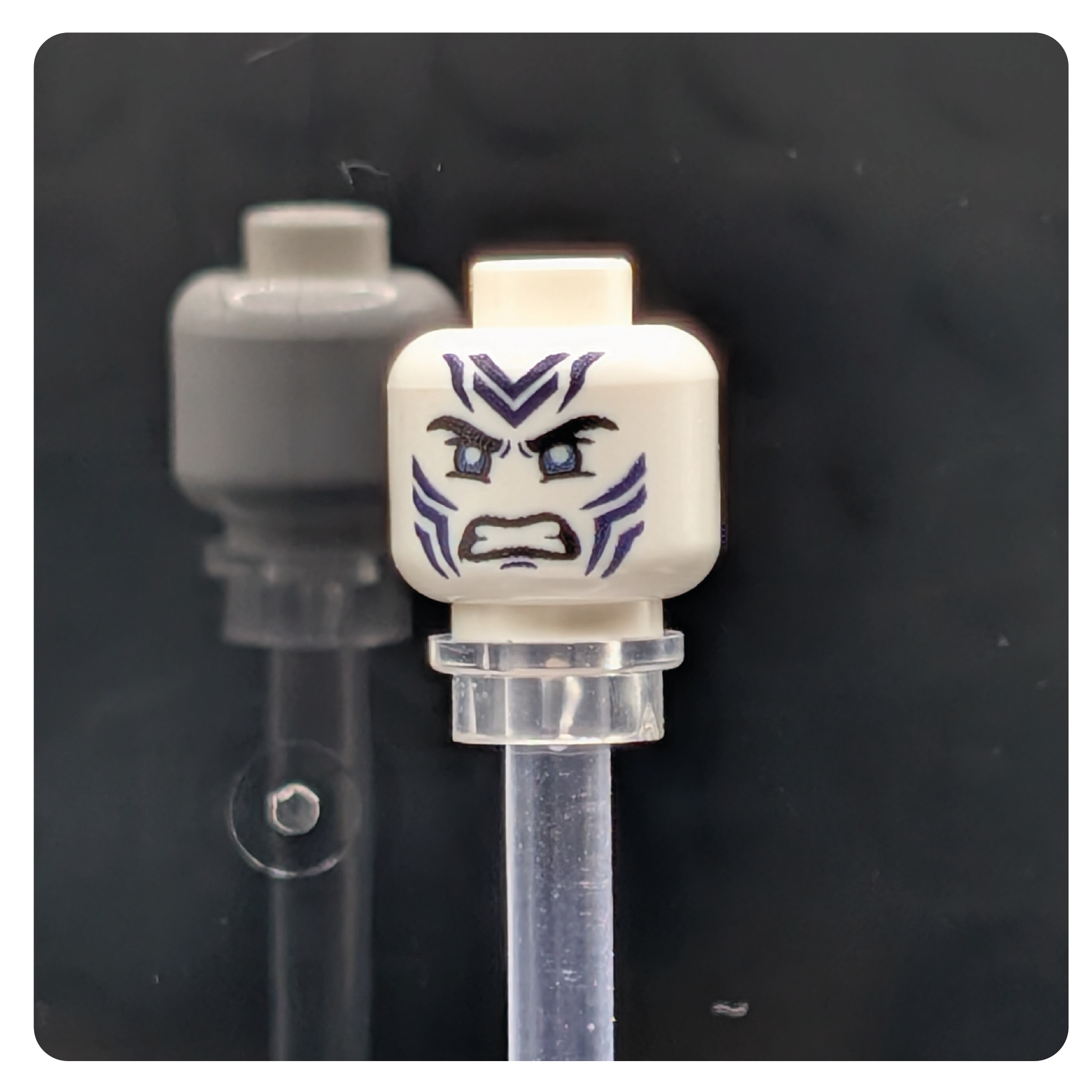 SW Customs Head - Rattataki Male