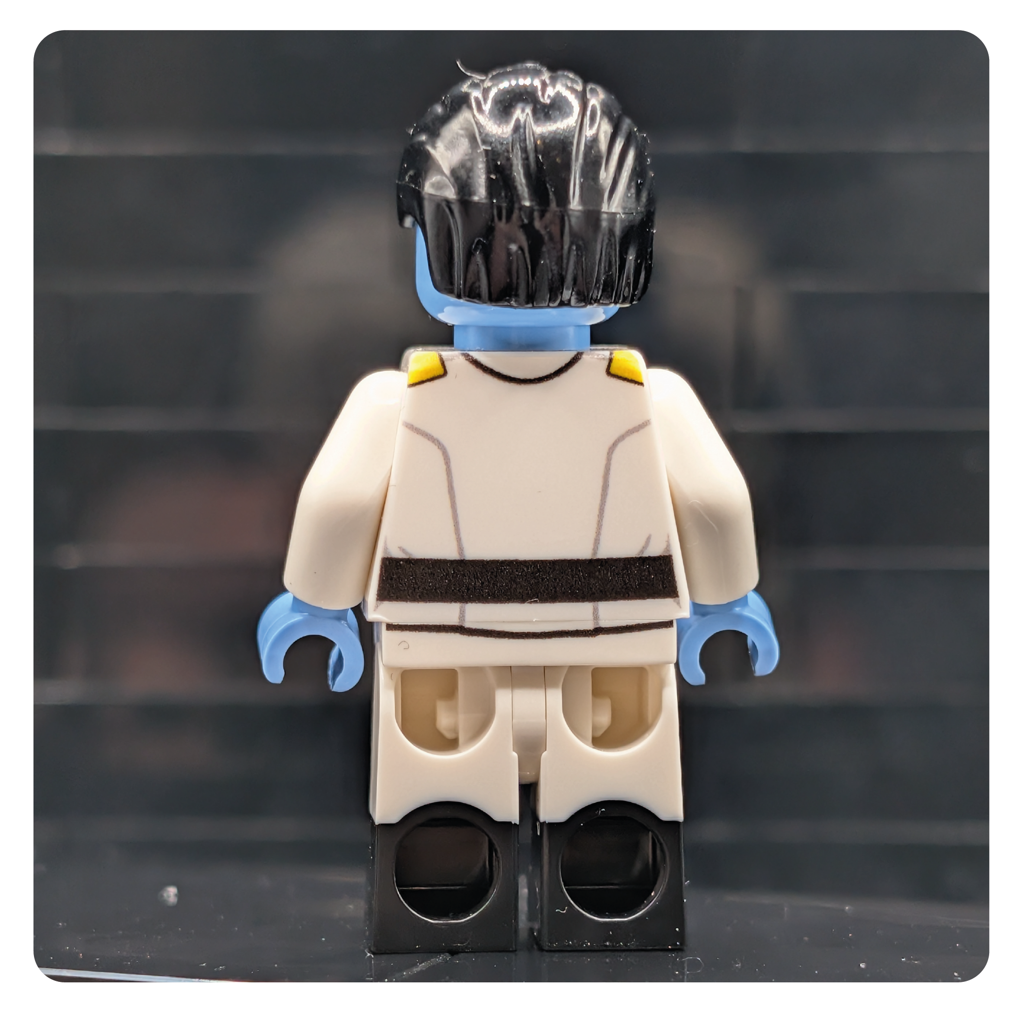 SW Customs Collectible Figure – The Tactical Mastermind