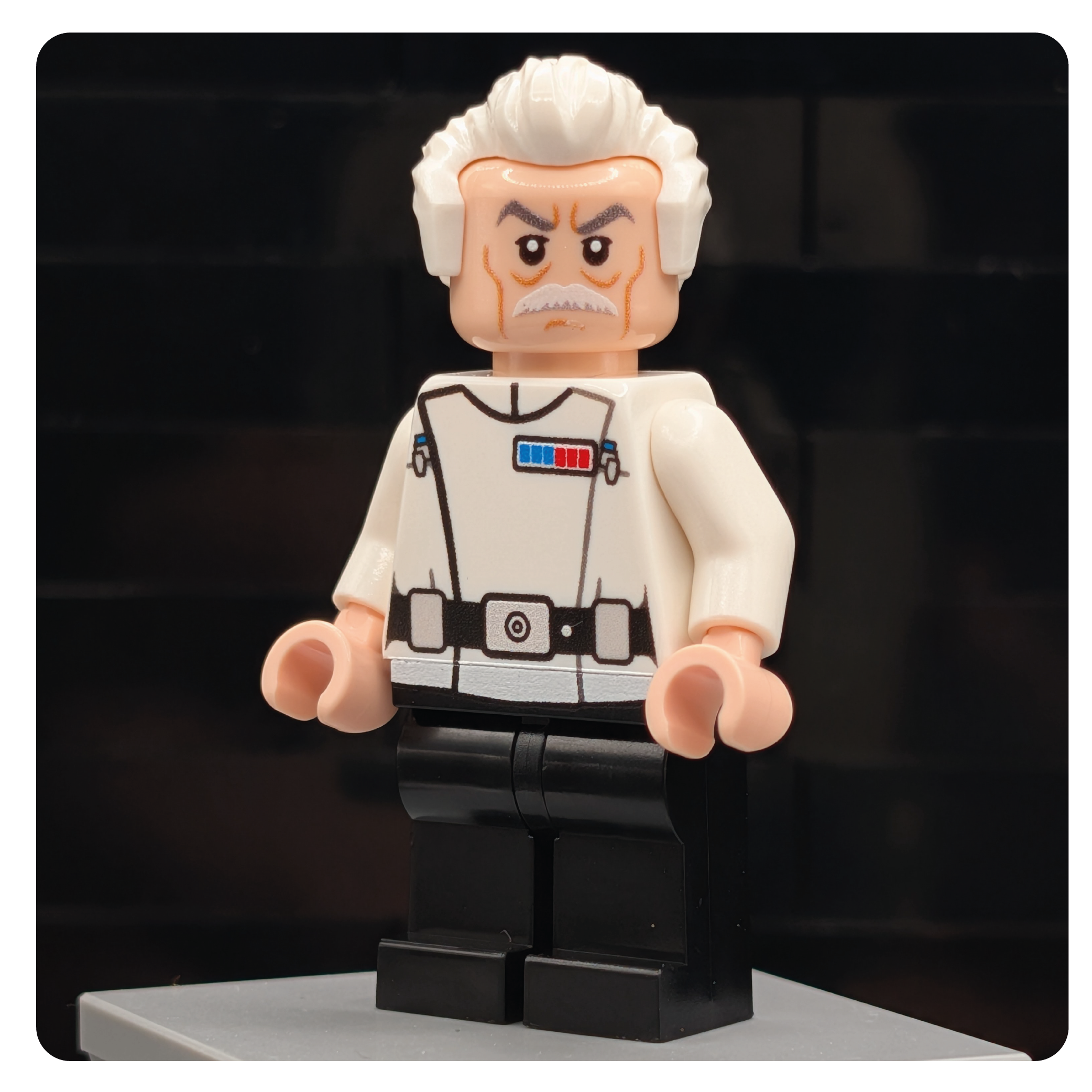 SW Customs Collectible Figure - The Imperial Strategist