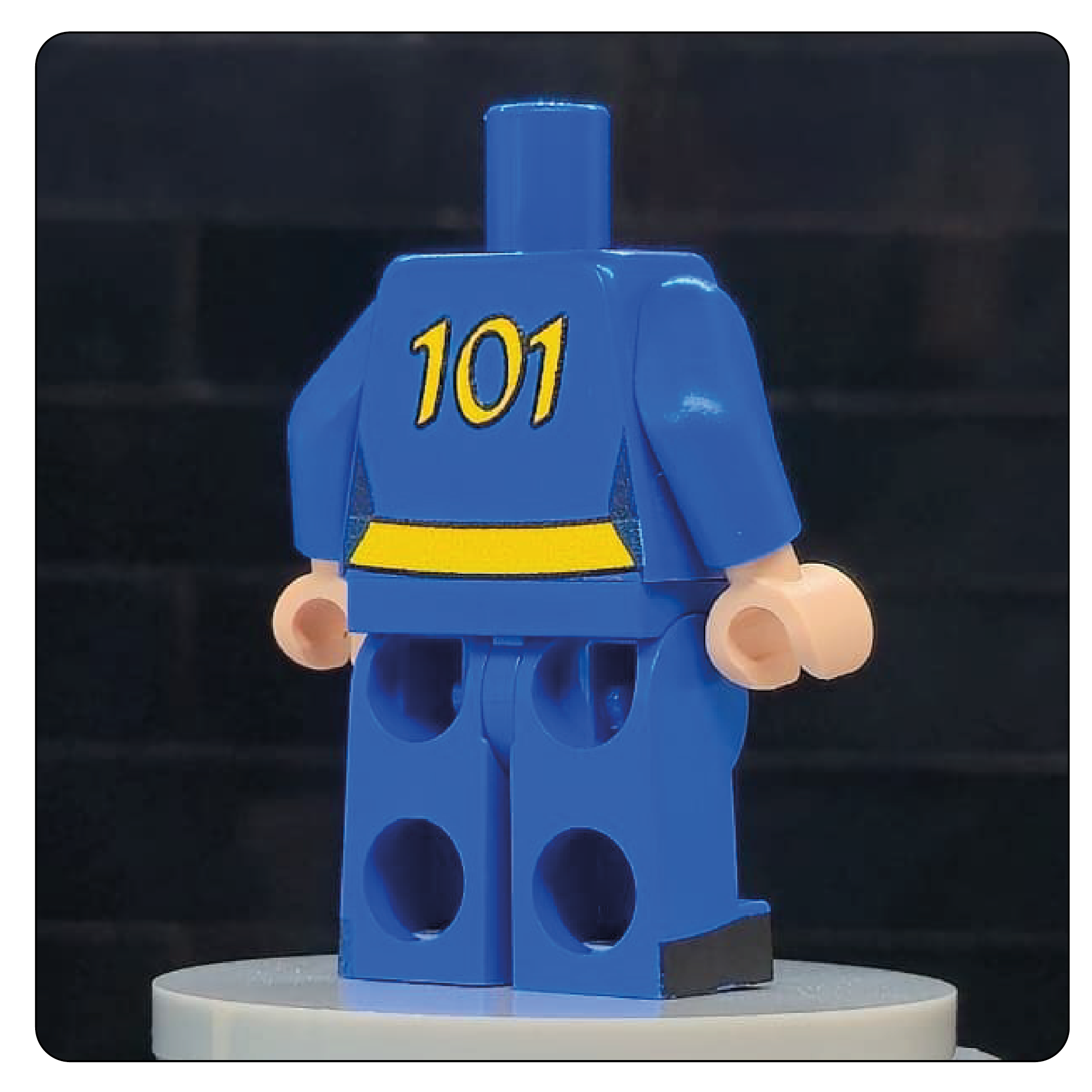 The Wasteland Shelter Jumpsuit Body – Sector 101