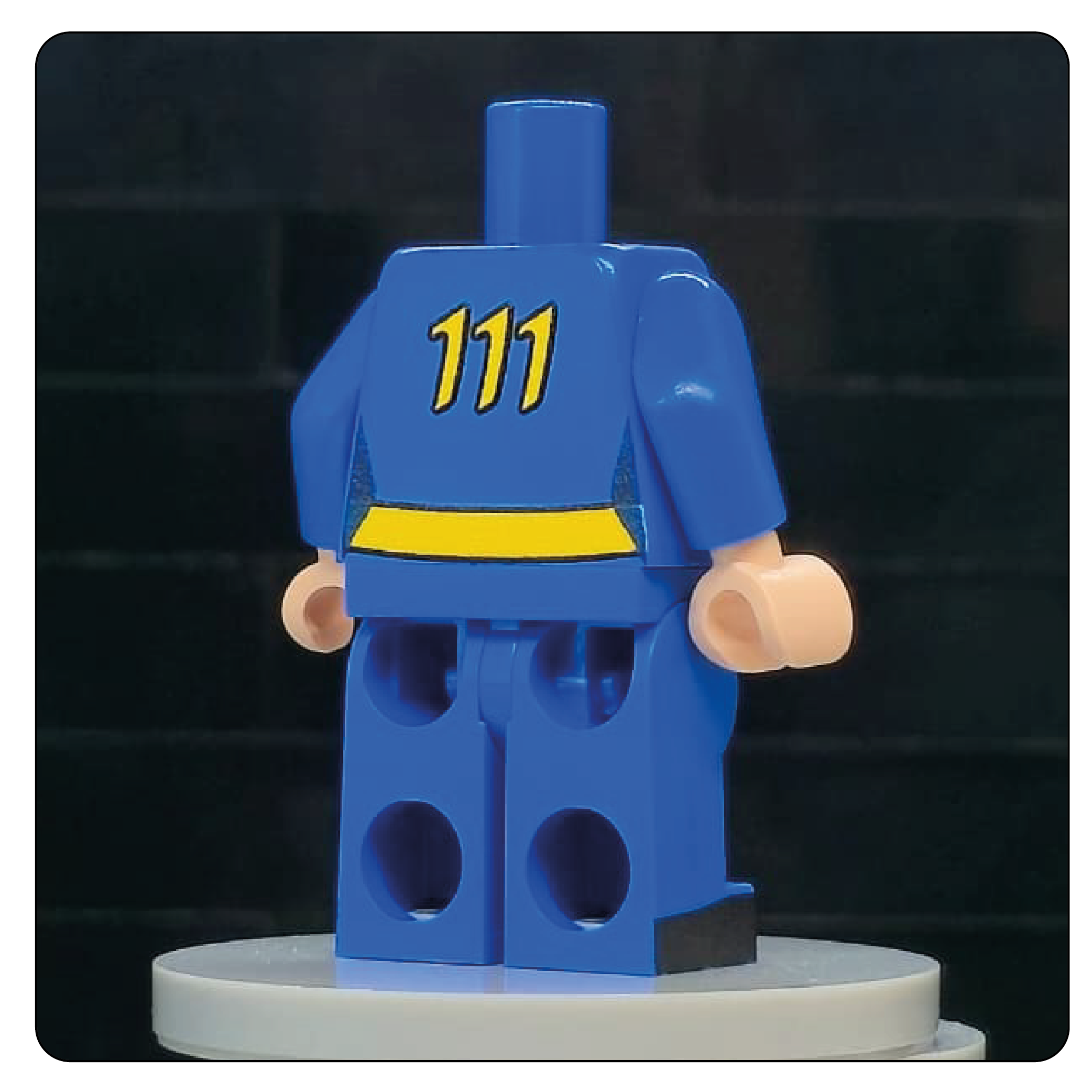 The Wasteland Shelter Jumpsuit Body – Sector 111