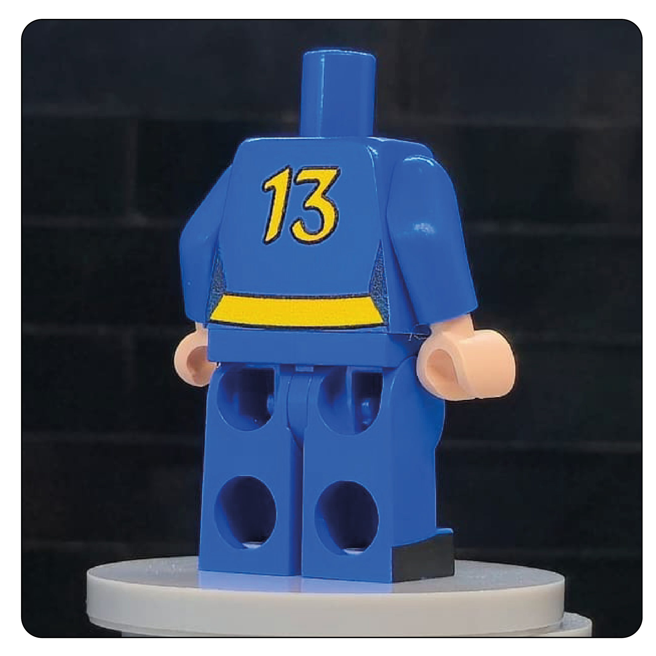 The Wasteland Shelter Jumpsuit Body – Sector 13