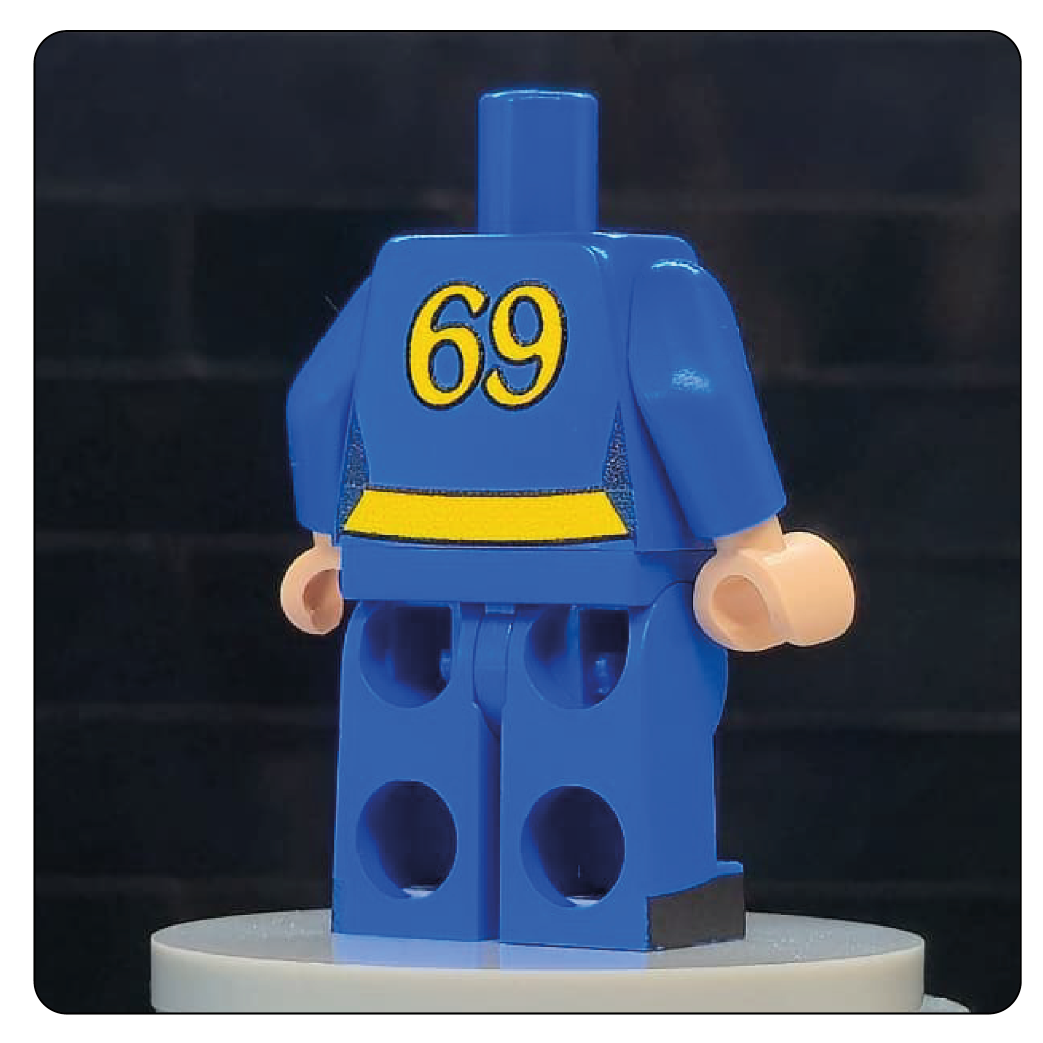 The Wasteland Shelter Jumpsuit Body – Sector 69