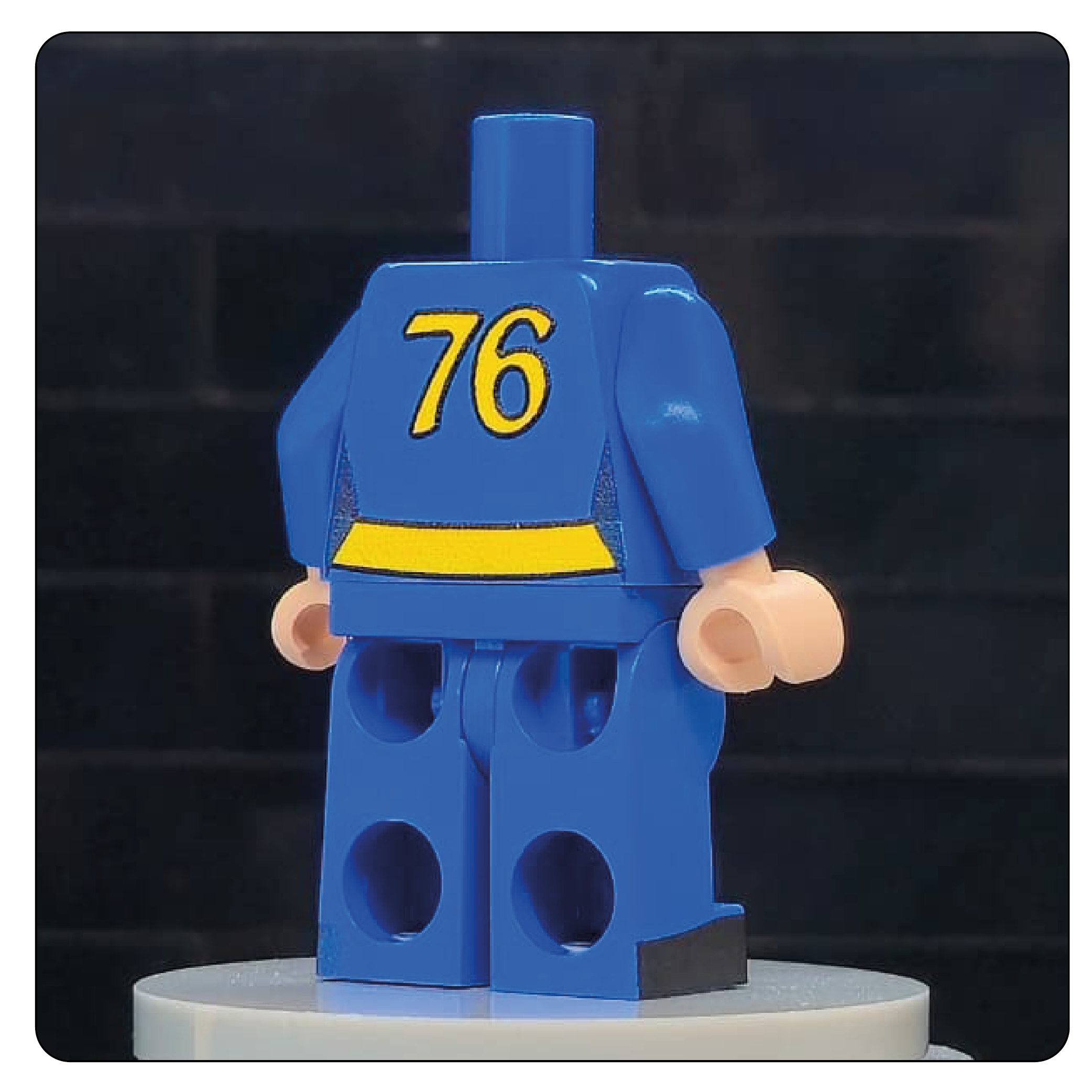 The Wasteland Shelter Jumpsuit Body – Sector 76