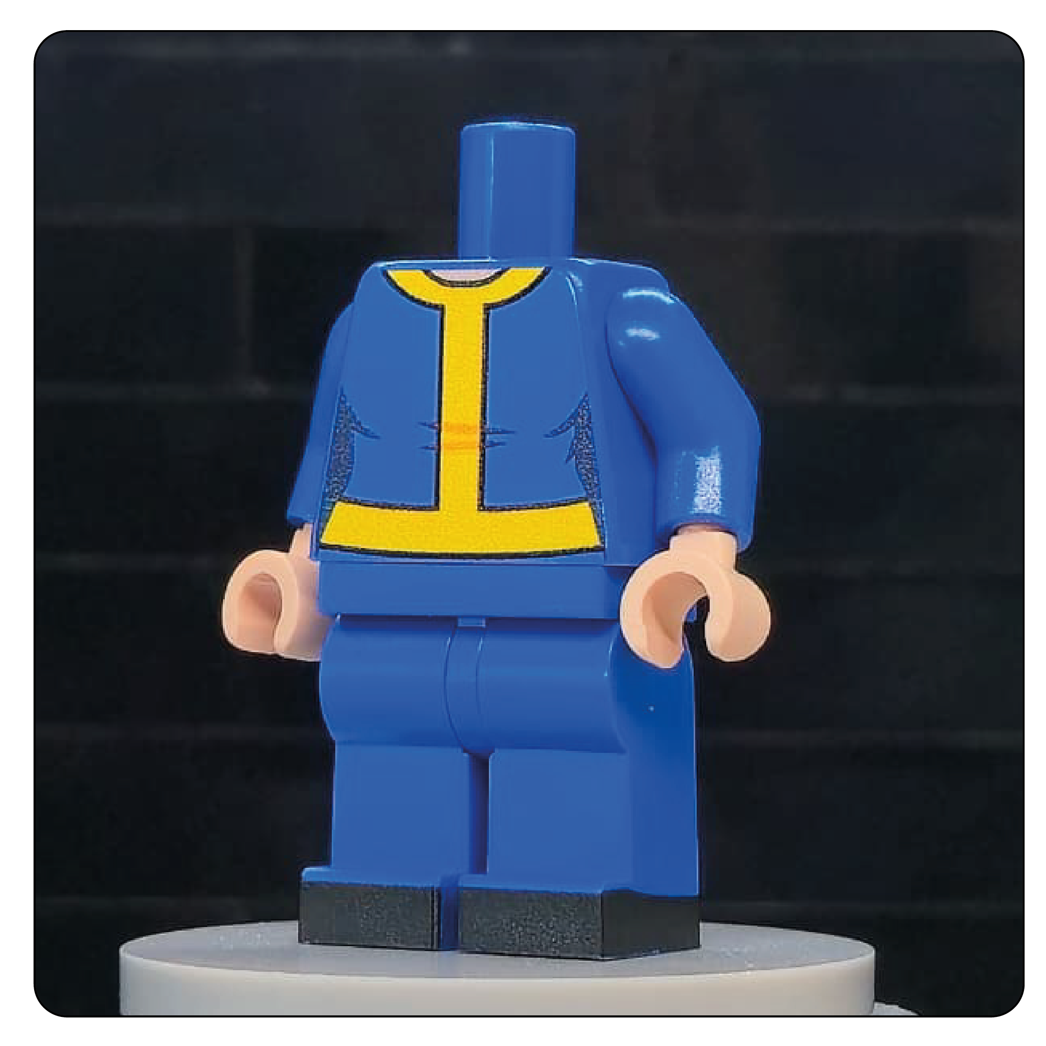 The Wasteland Shelter Jumpsuit Body – Sector 33