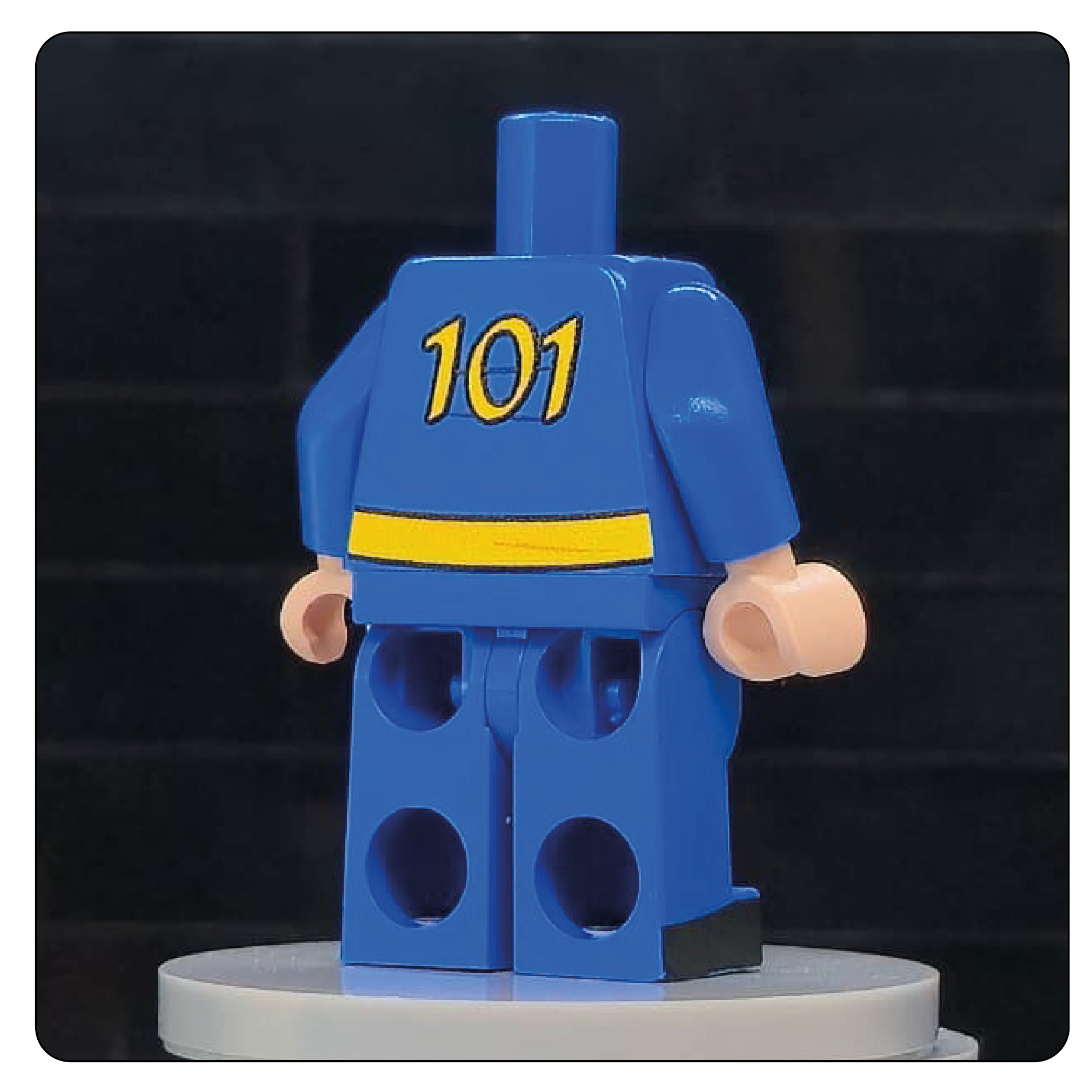 The Wasteland Shelter Jumpsuit Body – Sector 101