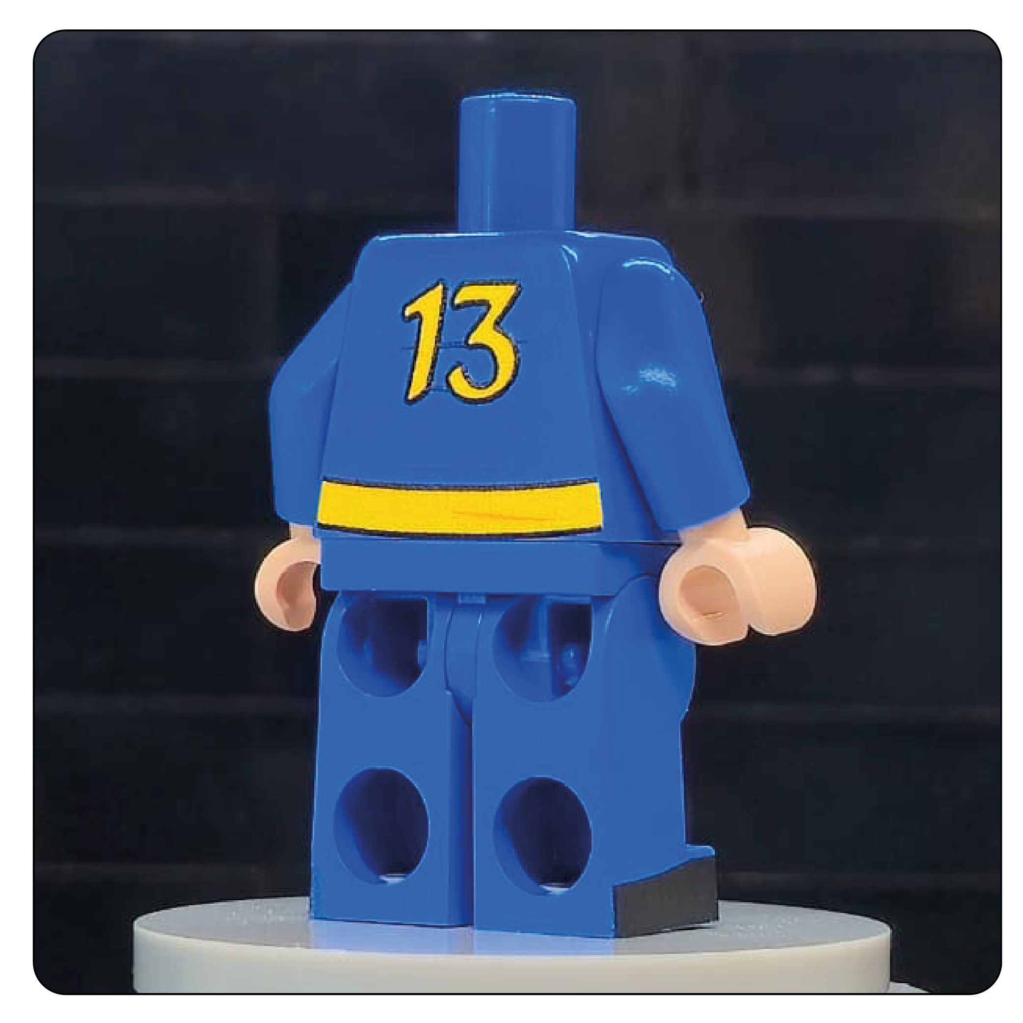 The Wasteland Shelter Jumpsuit Body – Sector 13
