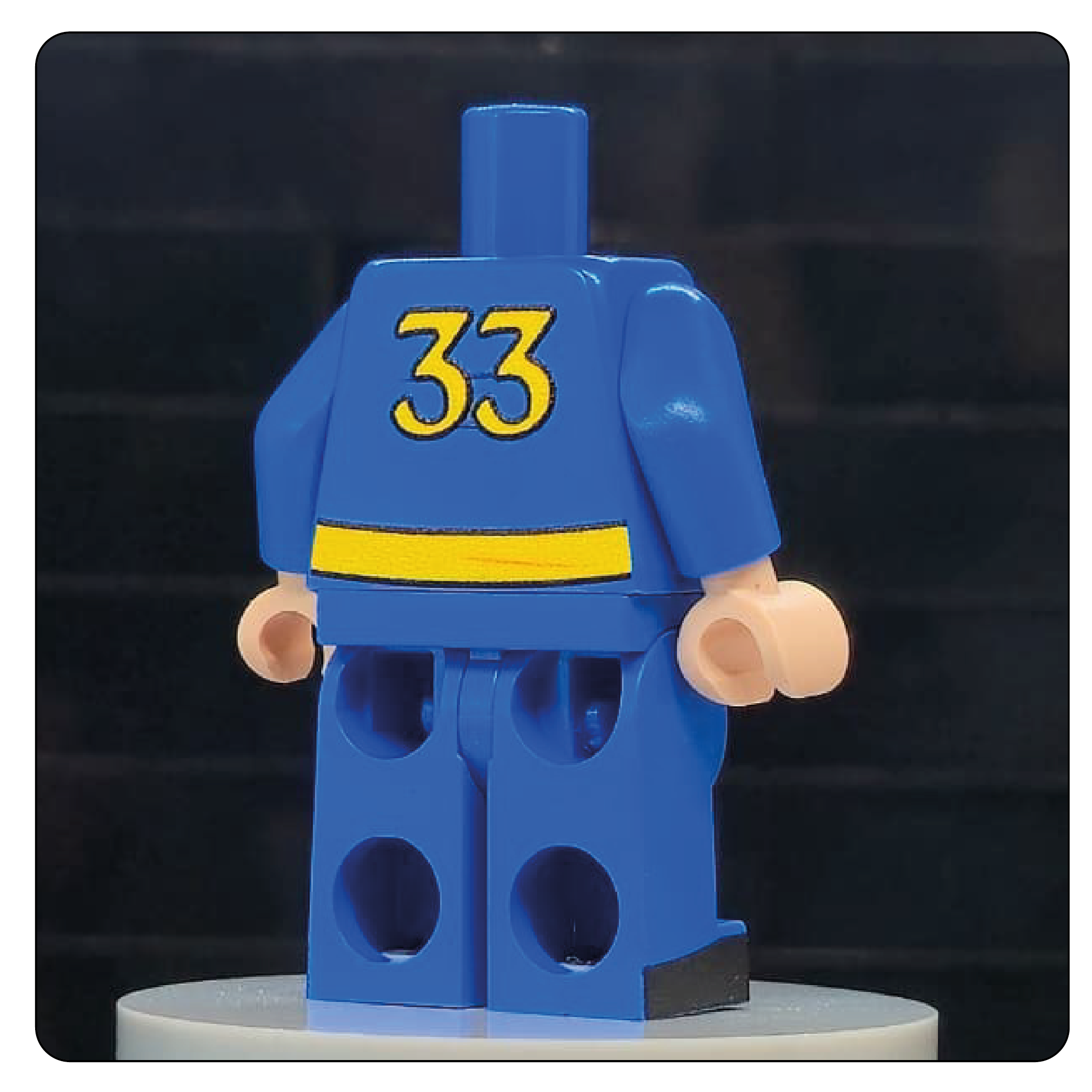 The Wasteland Shelter Jumpsuit Body – Sector 33