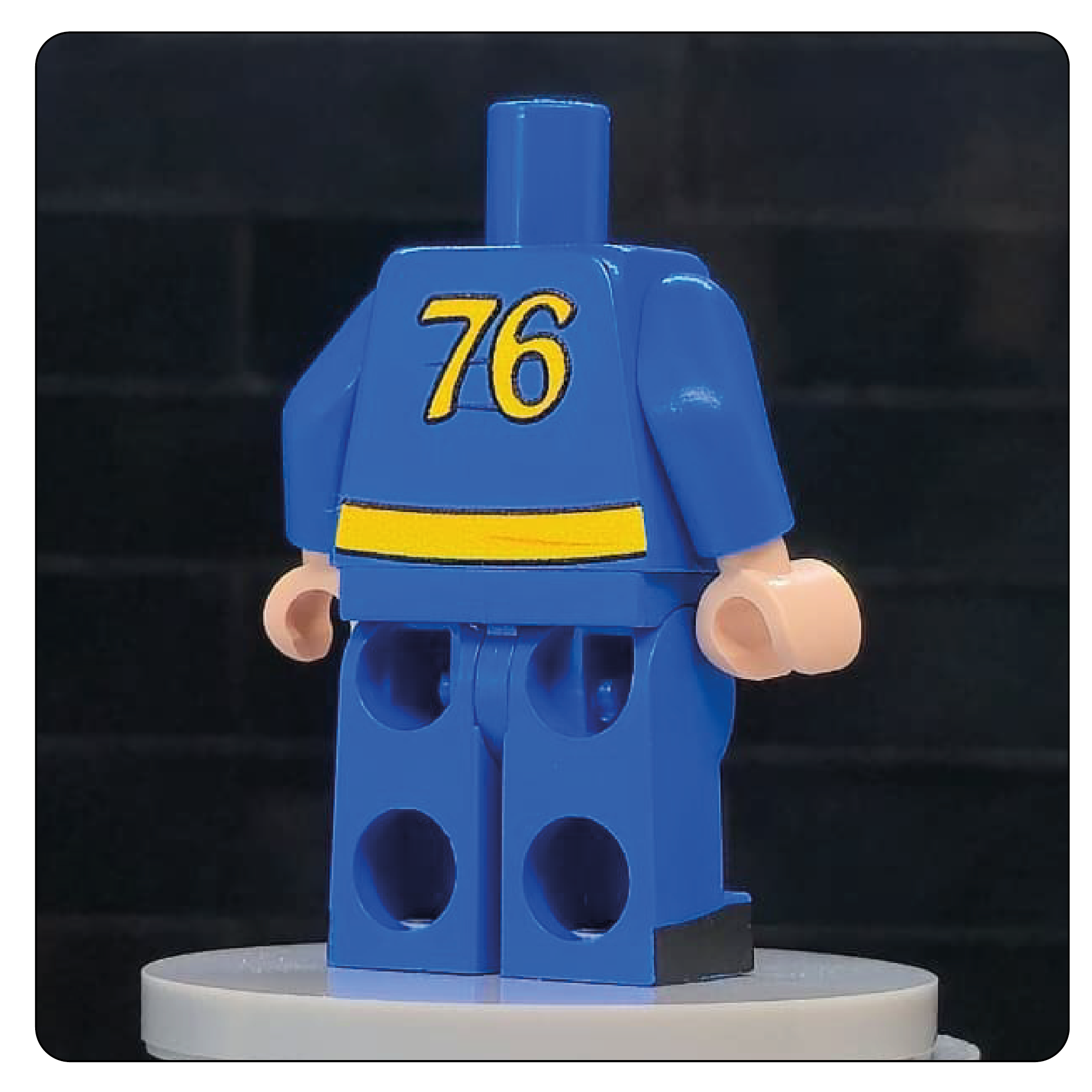 The Wasteland Shelter Jumpsuit Body – Sector 76