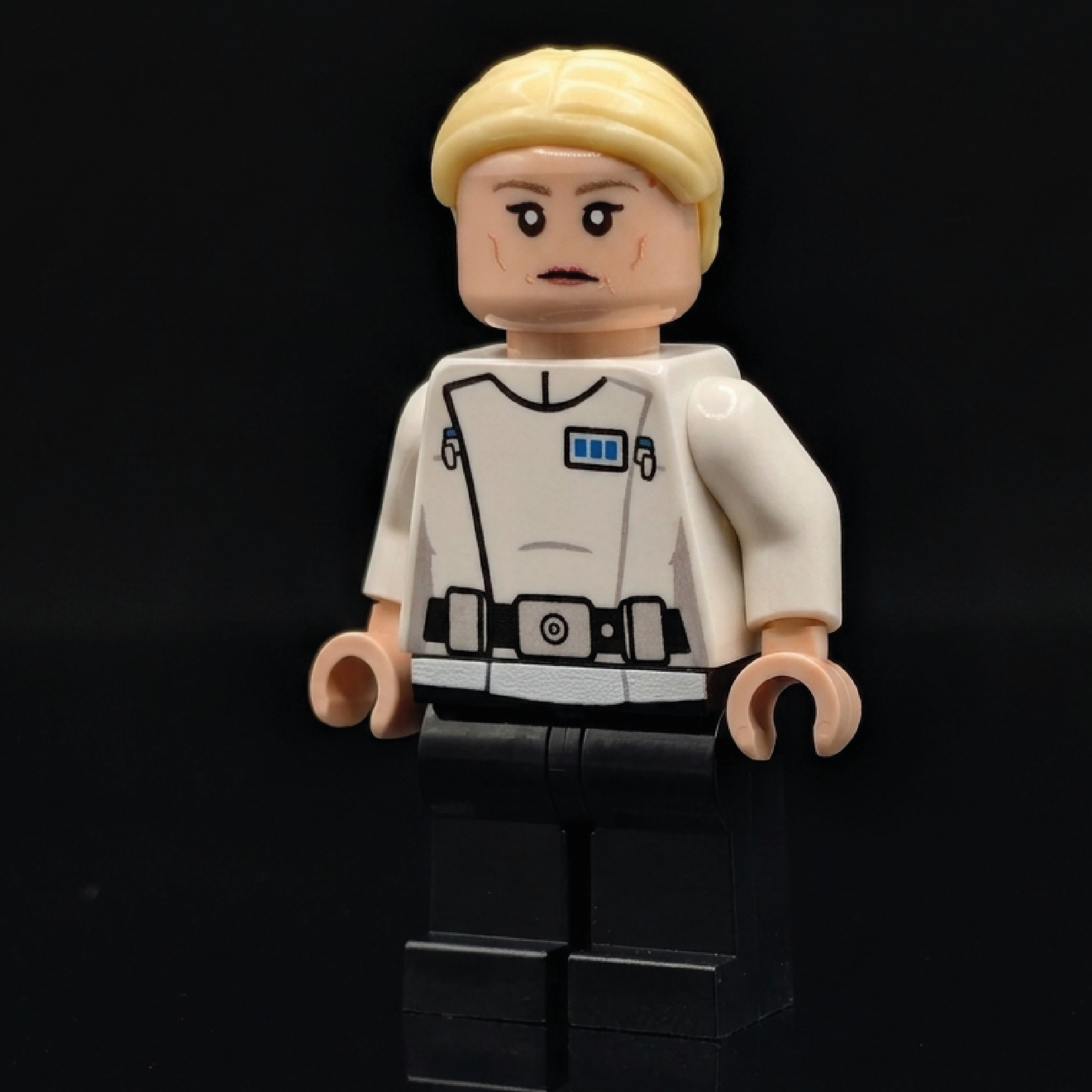 Minifigura de plantilla maestra