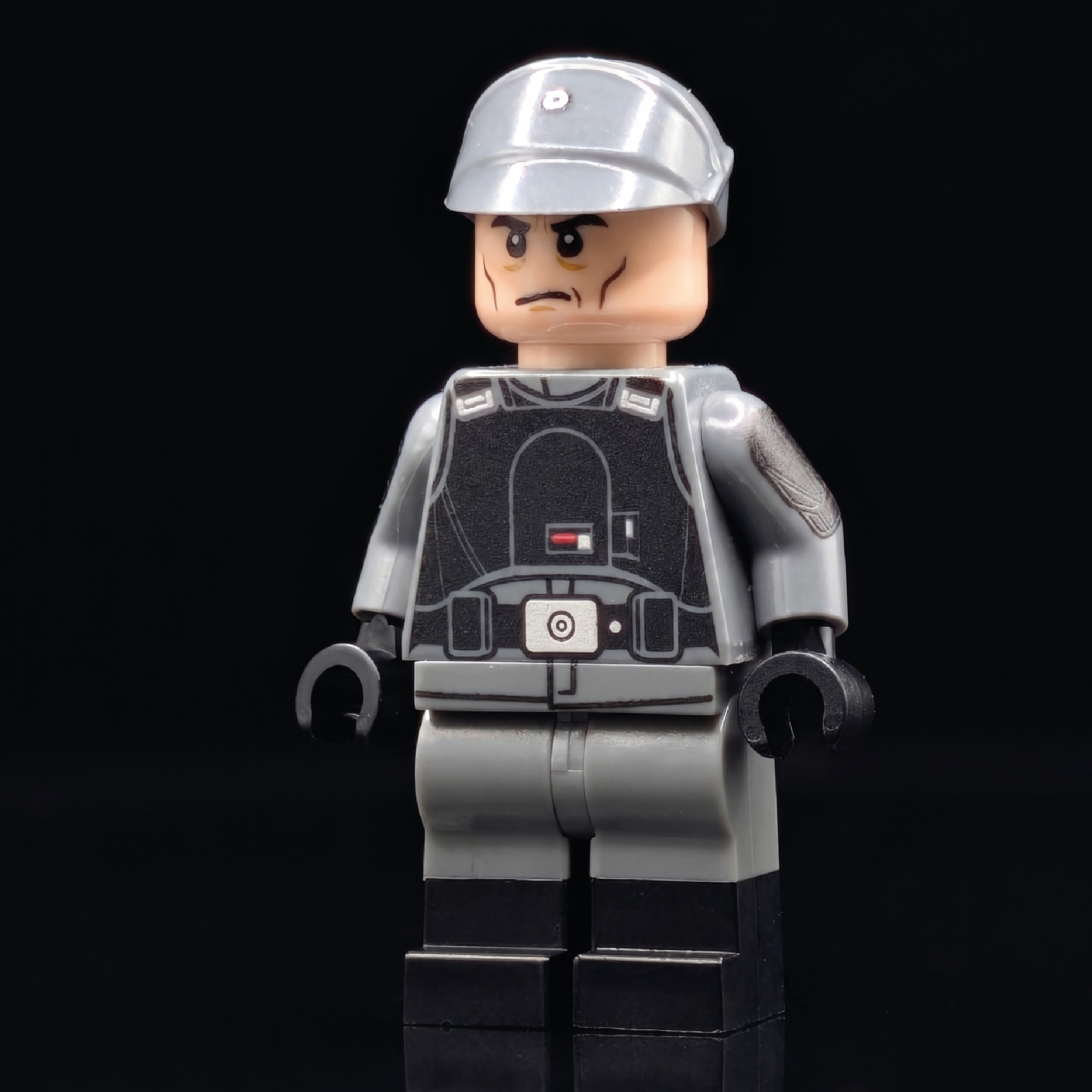 SW Customs Collectible Figure - Aldhani Trooper Soldier