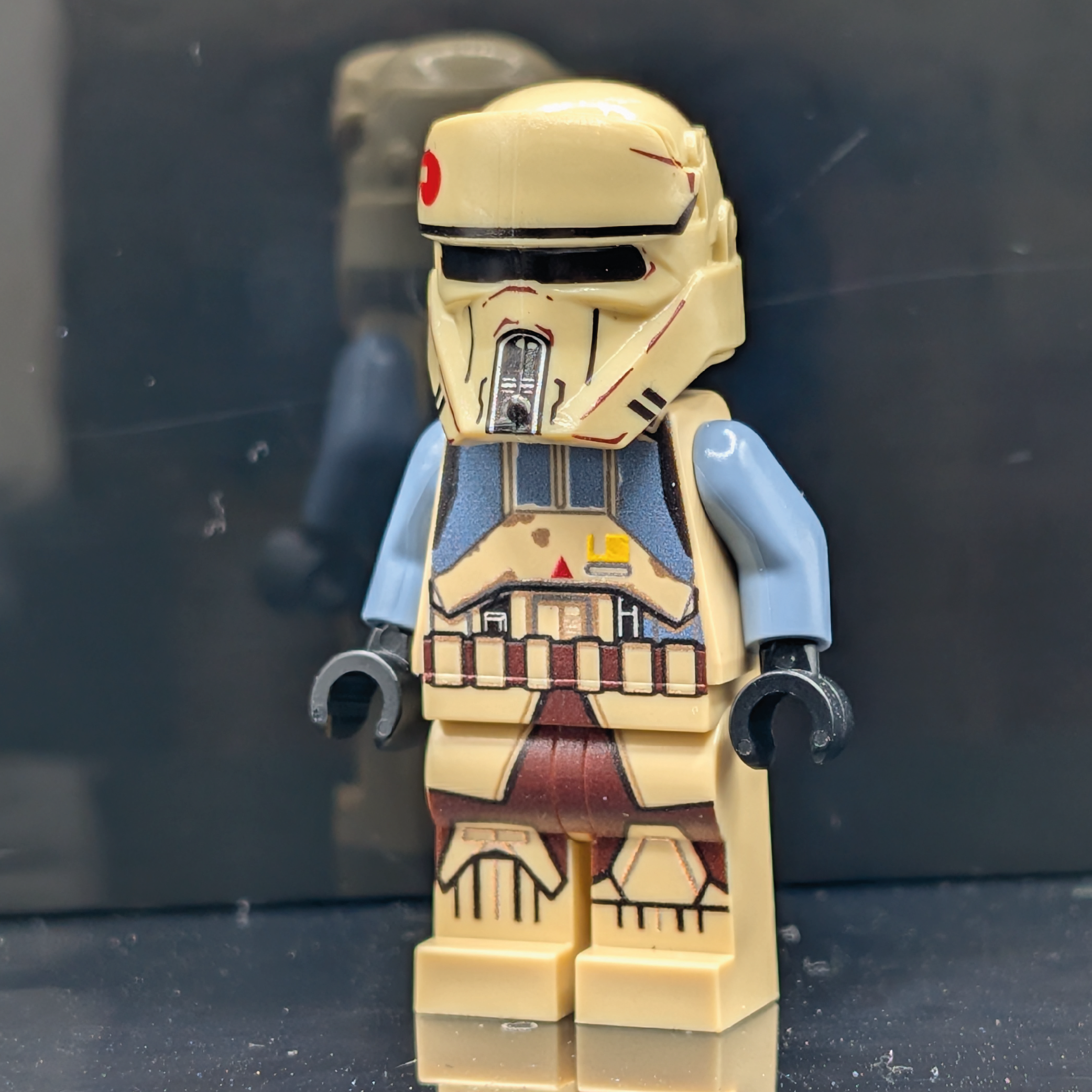 SW Customs Collectible Figure - Shoretrooper Captain NICEPRICE