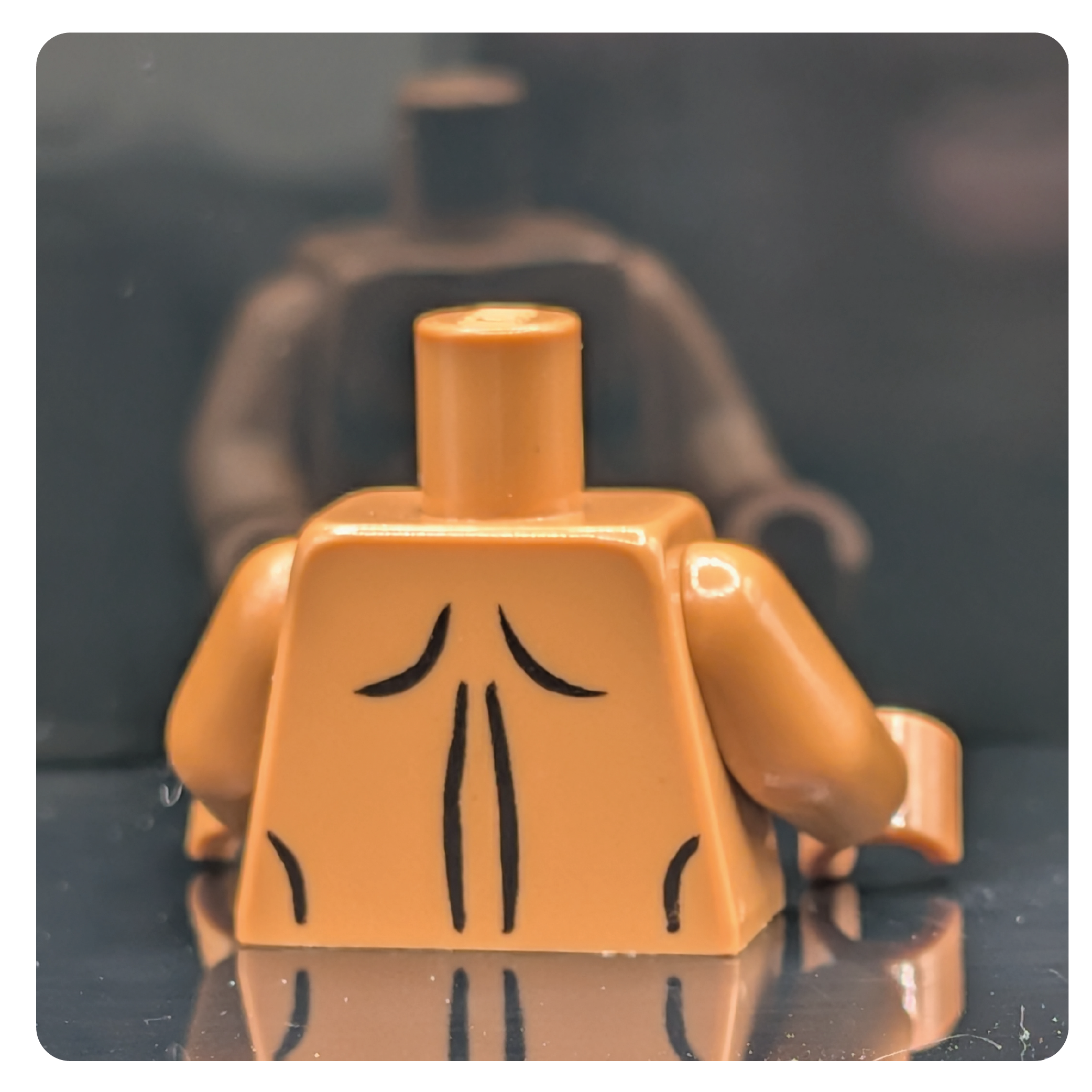 HoB Custom Torso - Big Mexican Guy