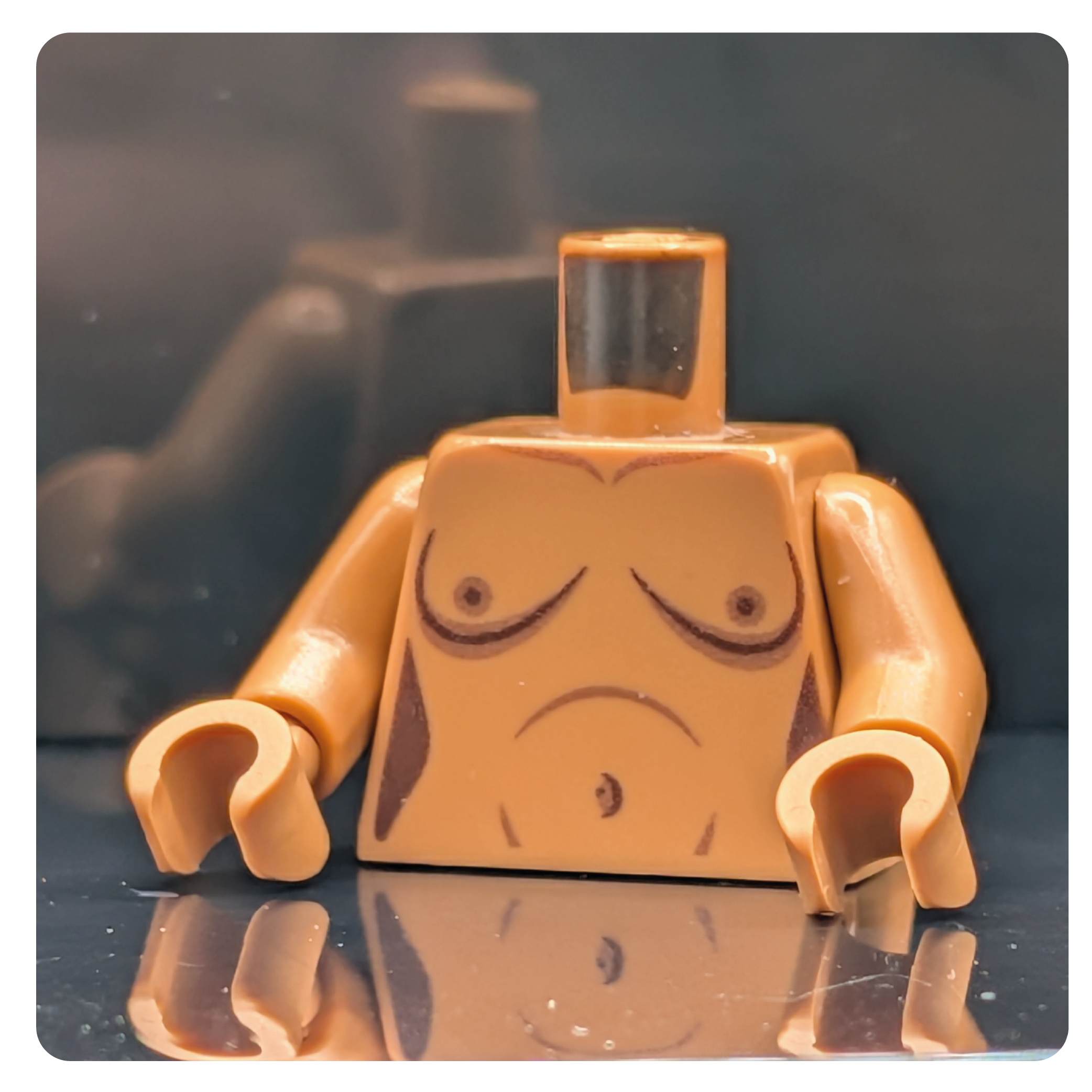HoB Custom Torso - Boobies Natural Medium Nougat
