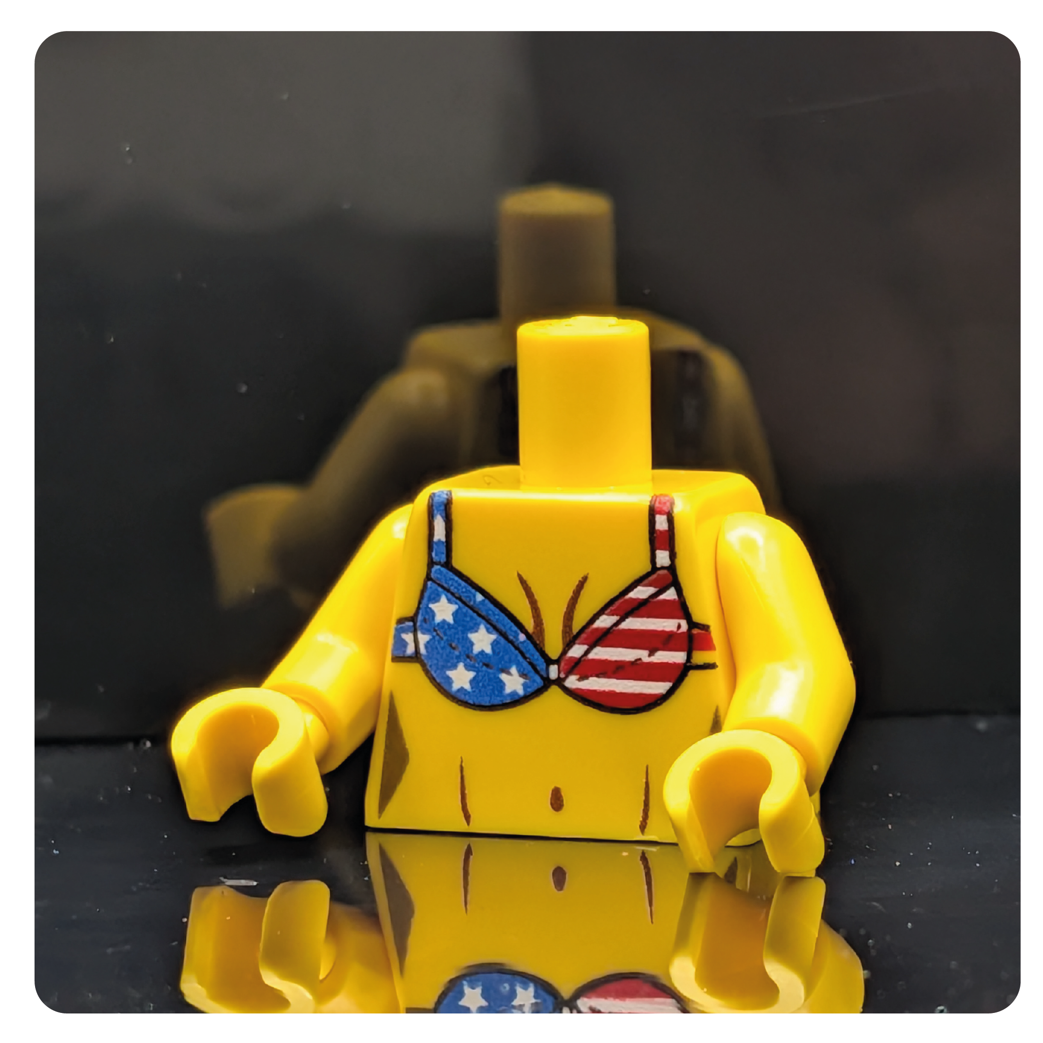 HoB Custom Torso - USA Bikini Bra