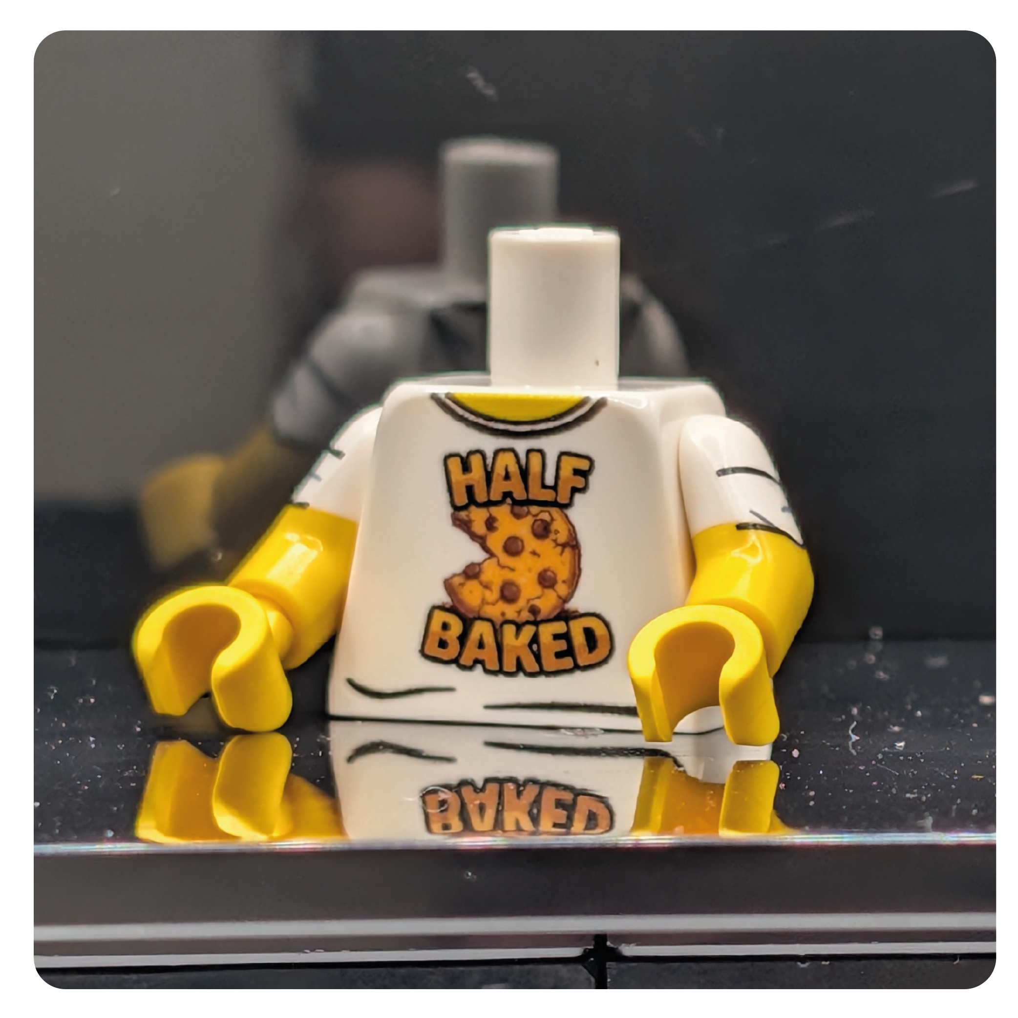 HoB Custom Torso - Half Baked