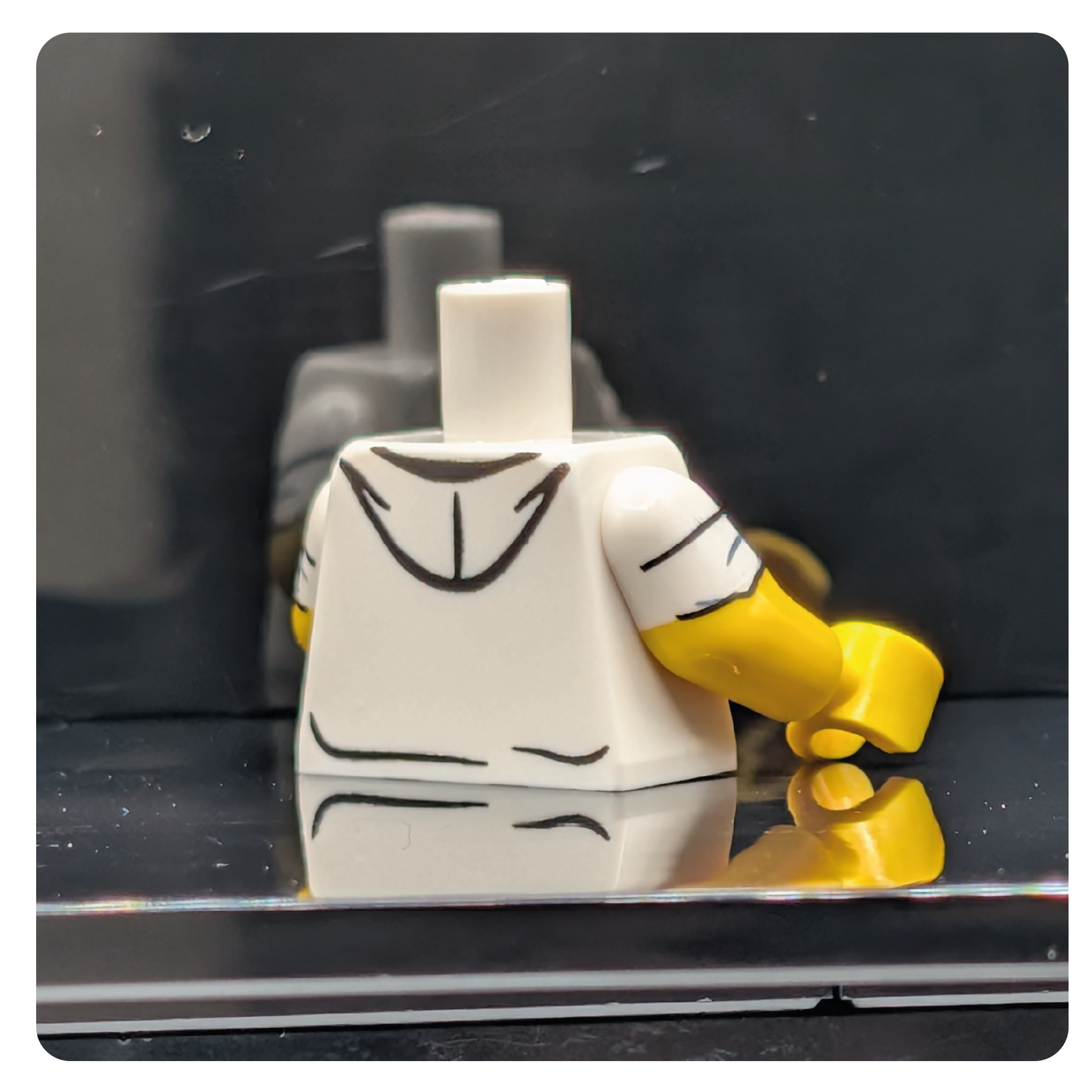 HoB Custom Torso - Half Baked