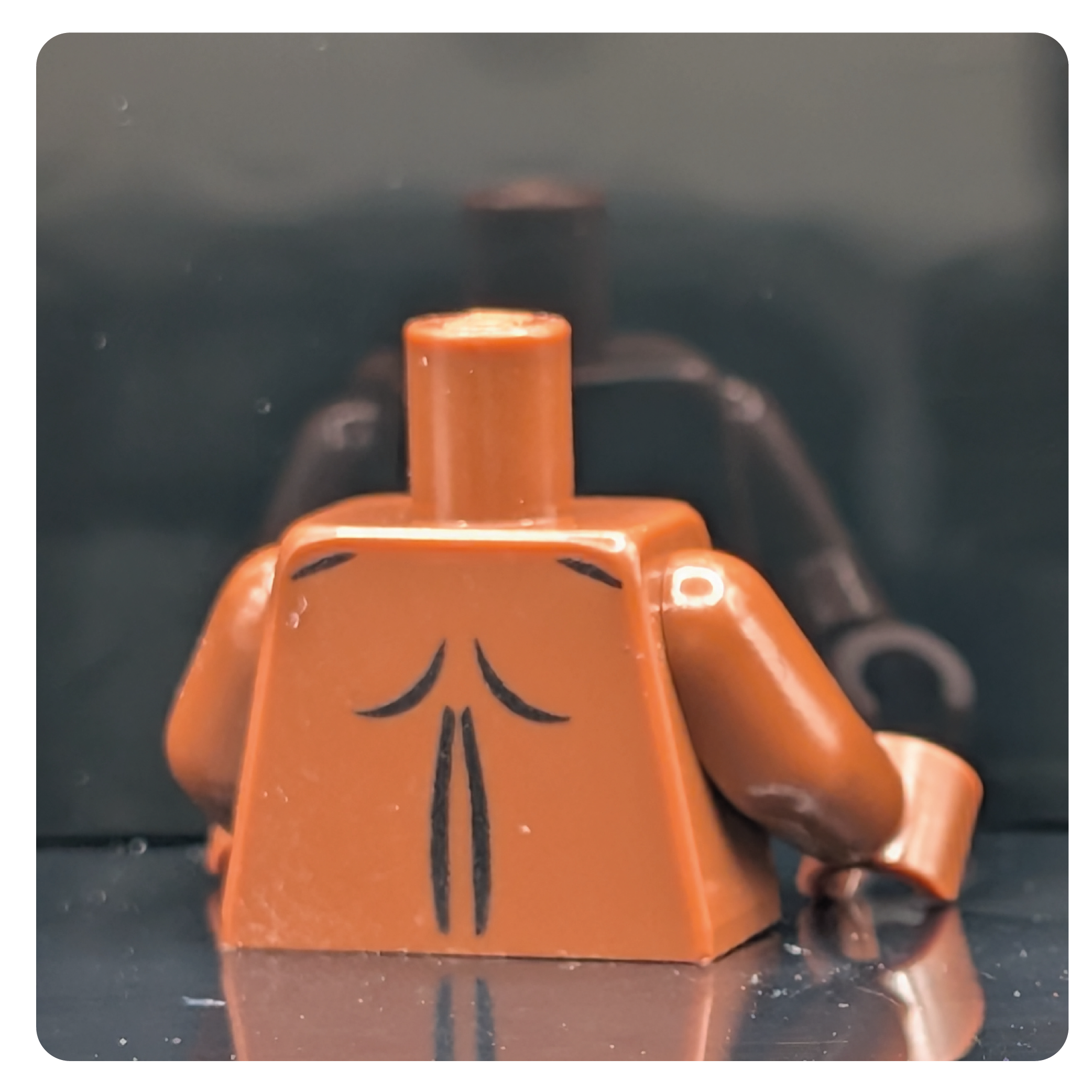 HoB Custom Torso - Hairy Buffalo Cowboy
