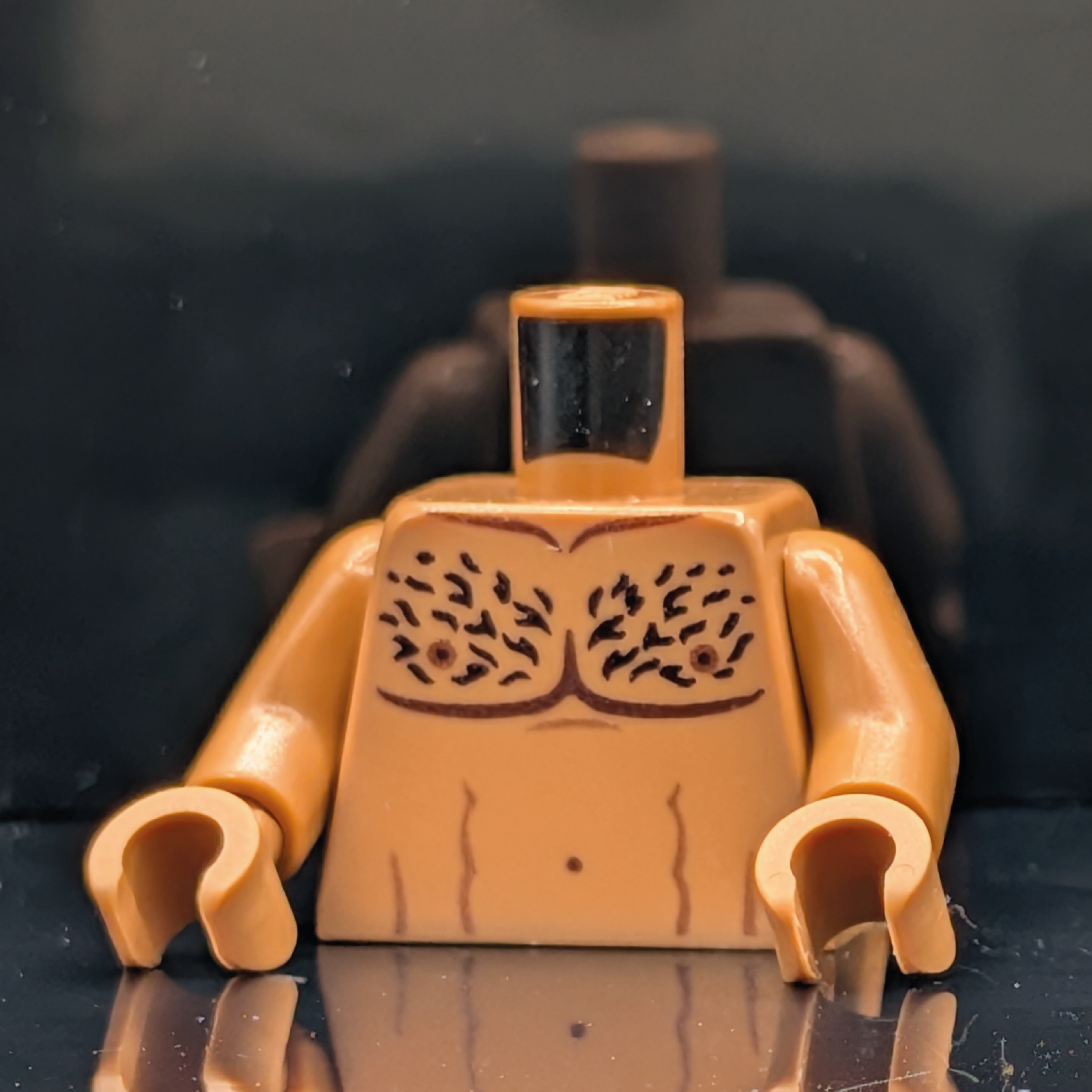 HoB Custom Torso - PECS Athletic Hairy Medium Nougat