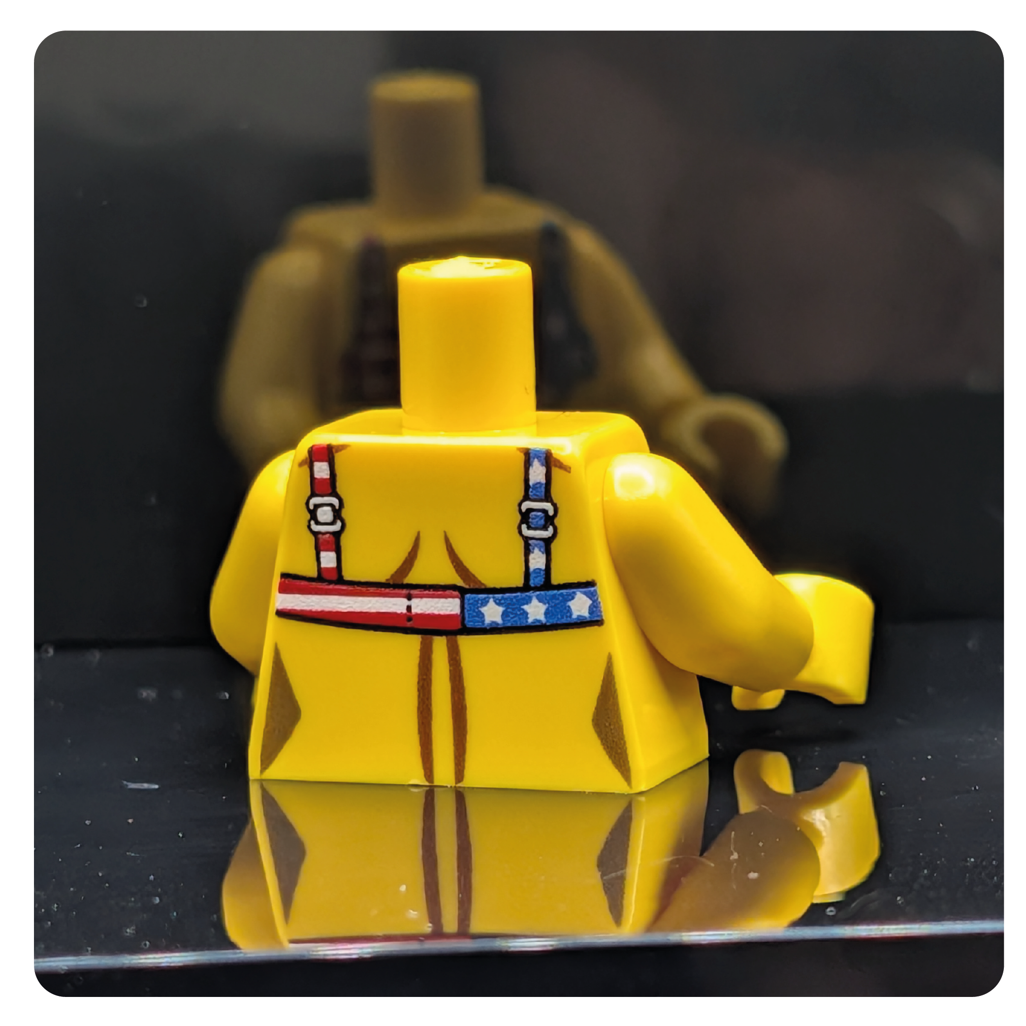 HoB Custom Torso - USA Bikini Bra