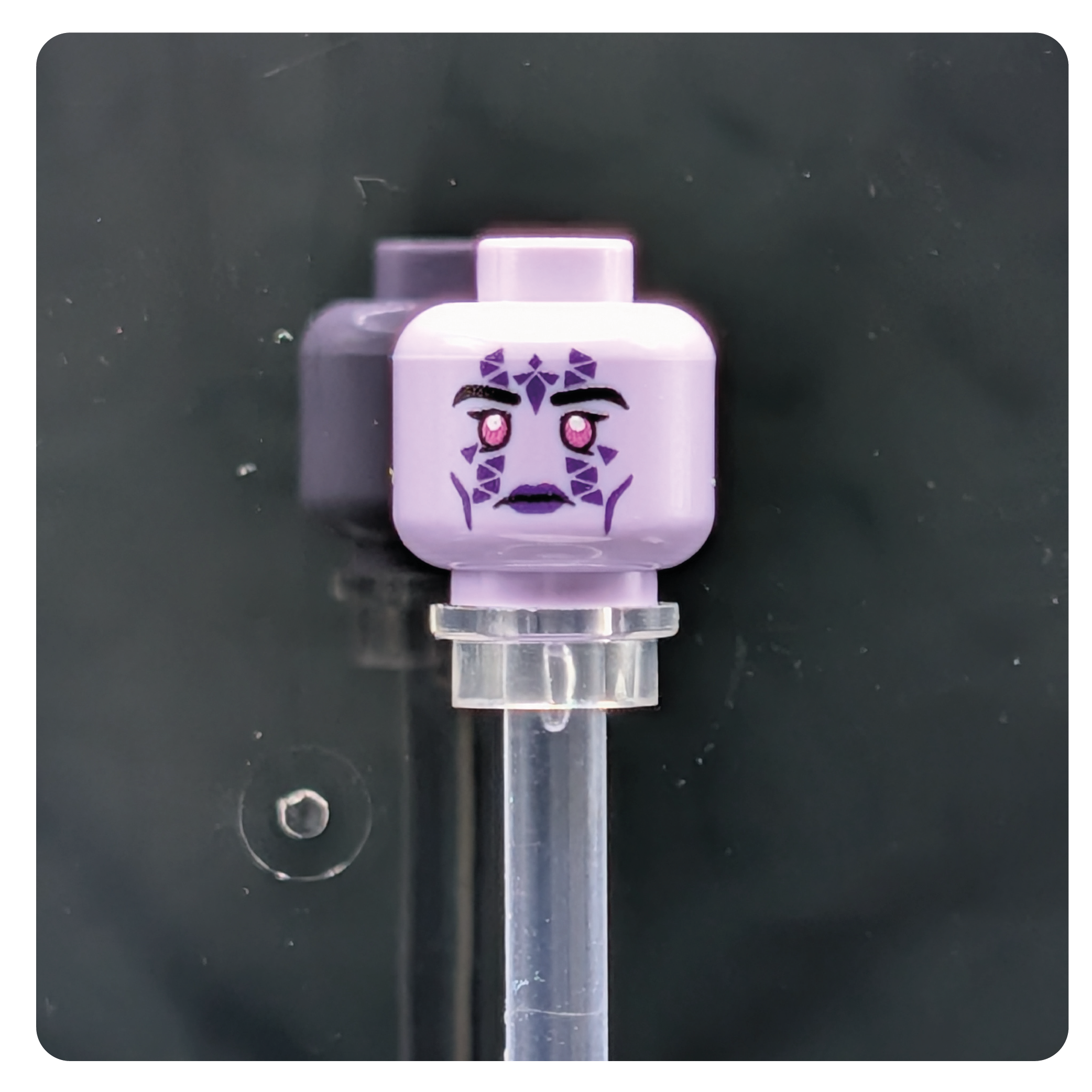 SW Customs Head - Mirialan Sage