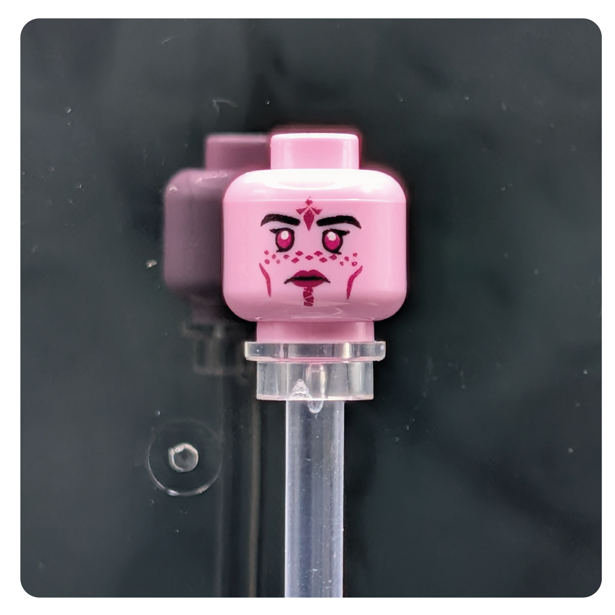 SW Customs Head - Mirialan Mystic