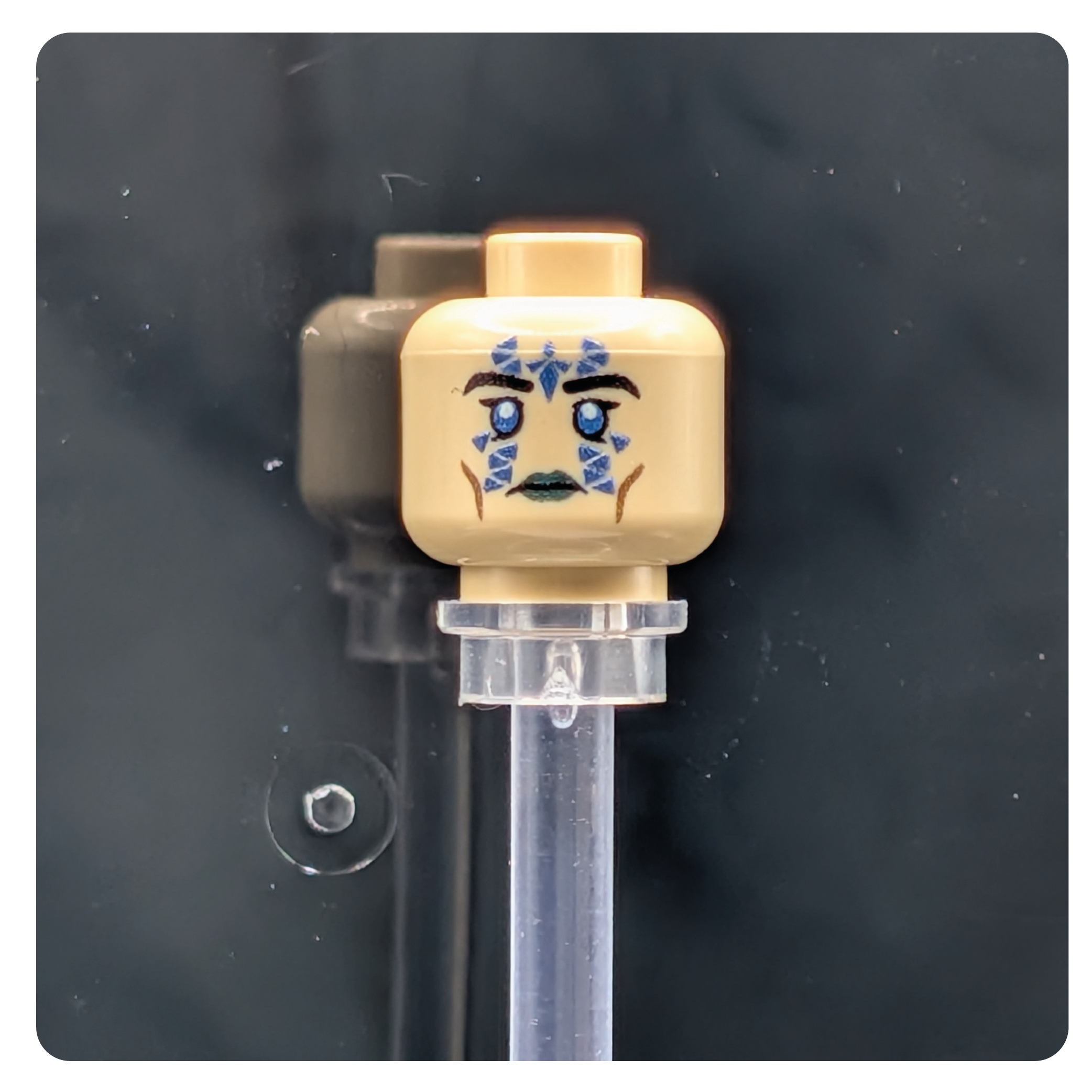 SW Customs Head - Mirialan Sage