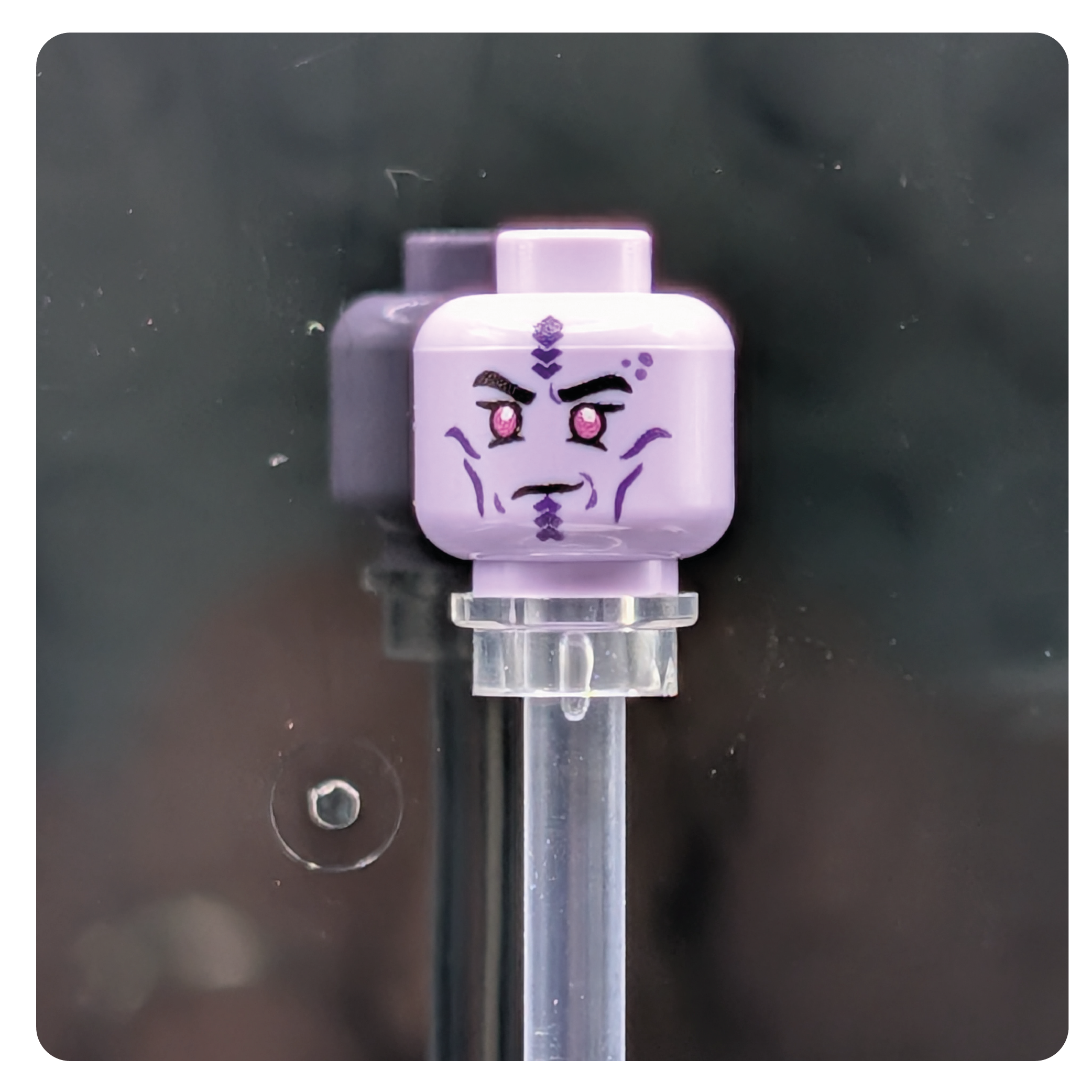 SW Customs Head - Mirialan Enforcer