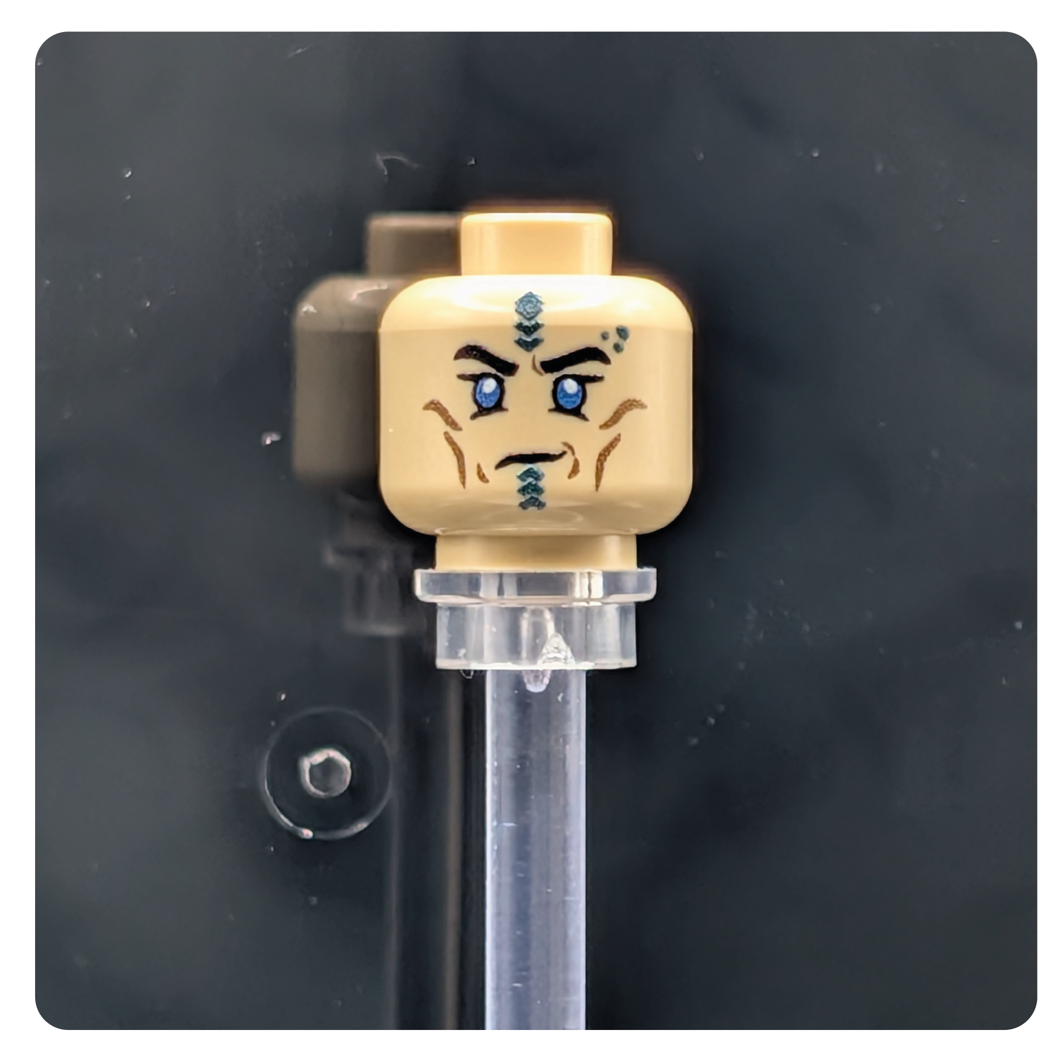 SW Customs Head - Mirialan Enforcer
