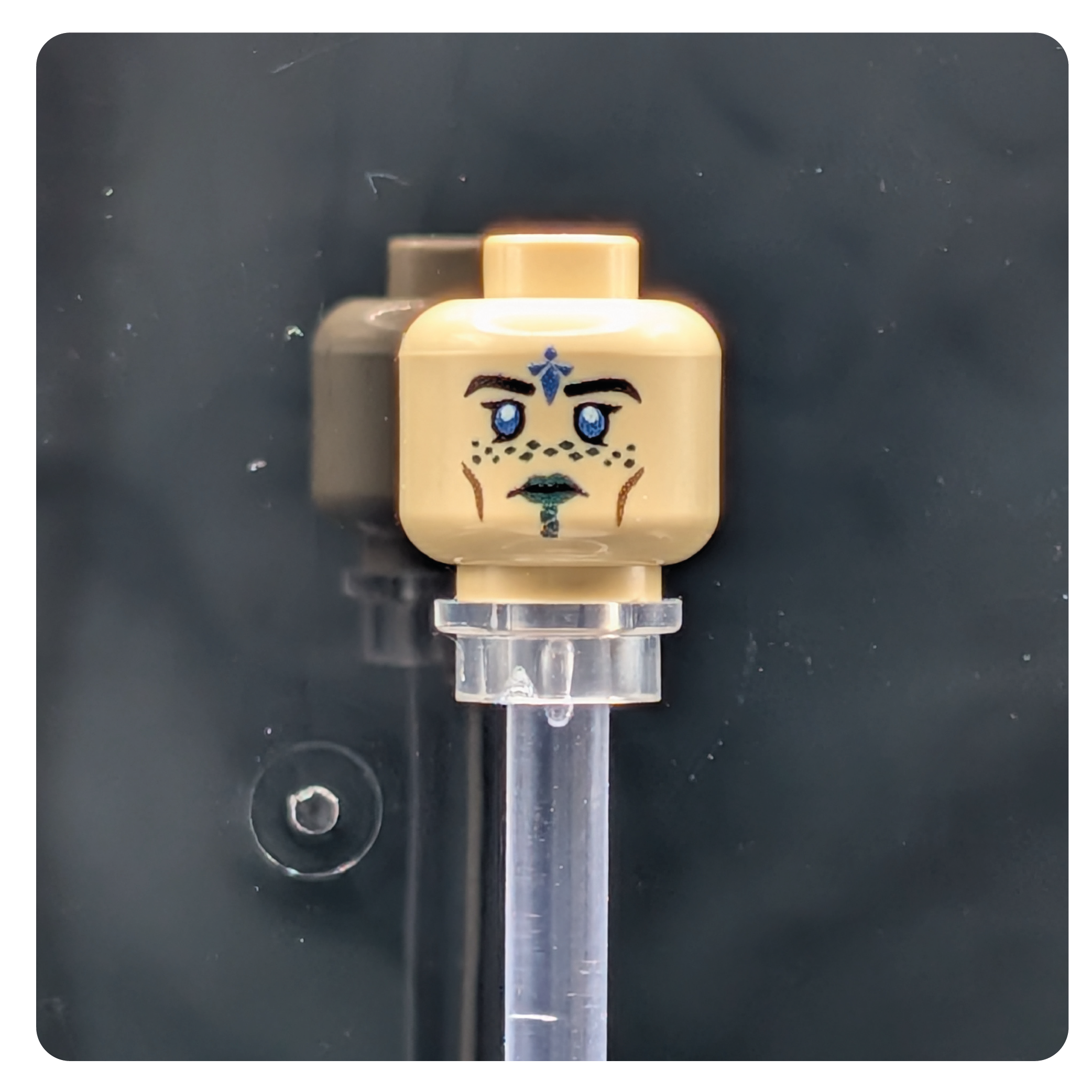 SW Customs Head - Mirialan Mystic