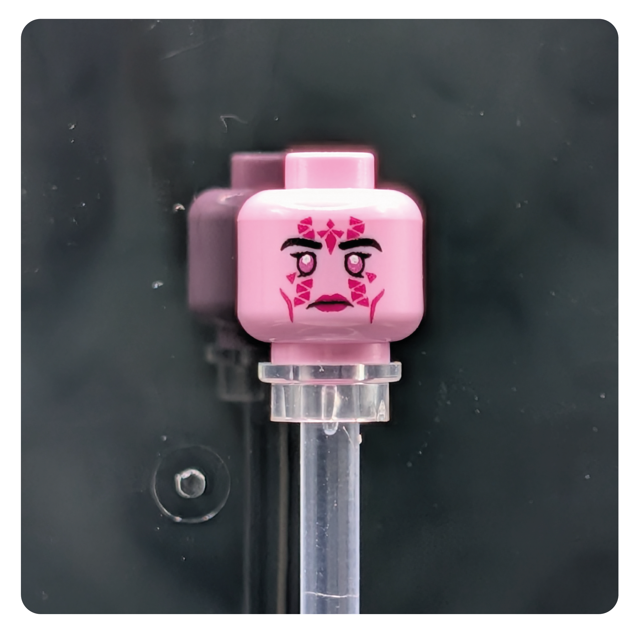 SW Customs Head - Mirialan Sage