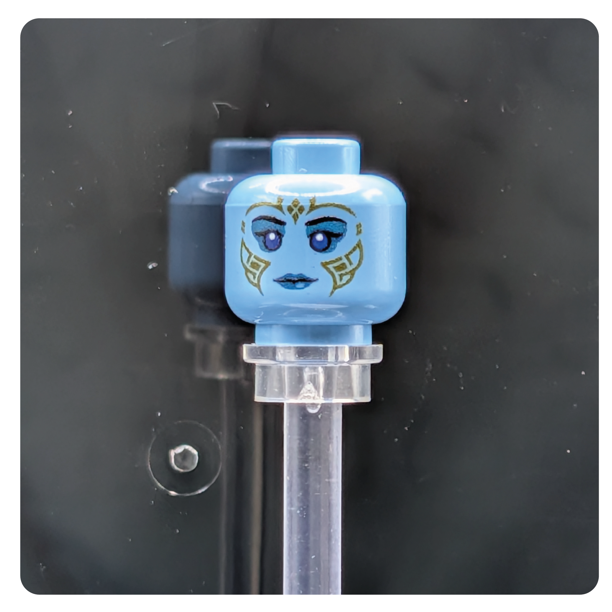 SW Customs Head - Pantoran Senator