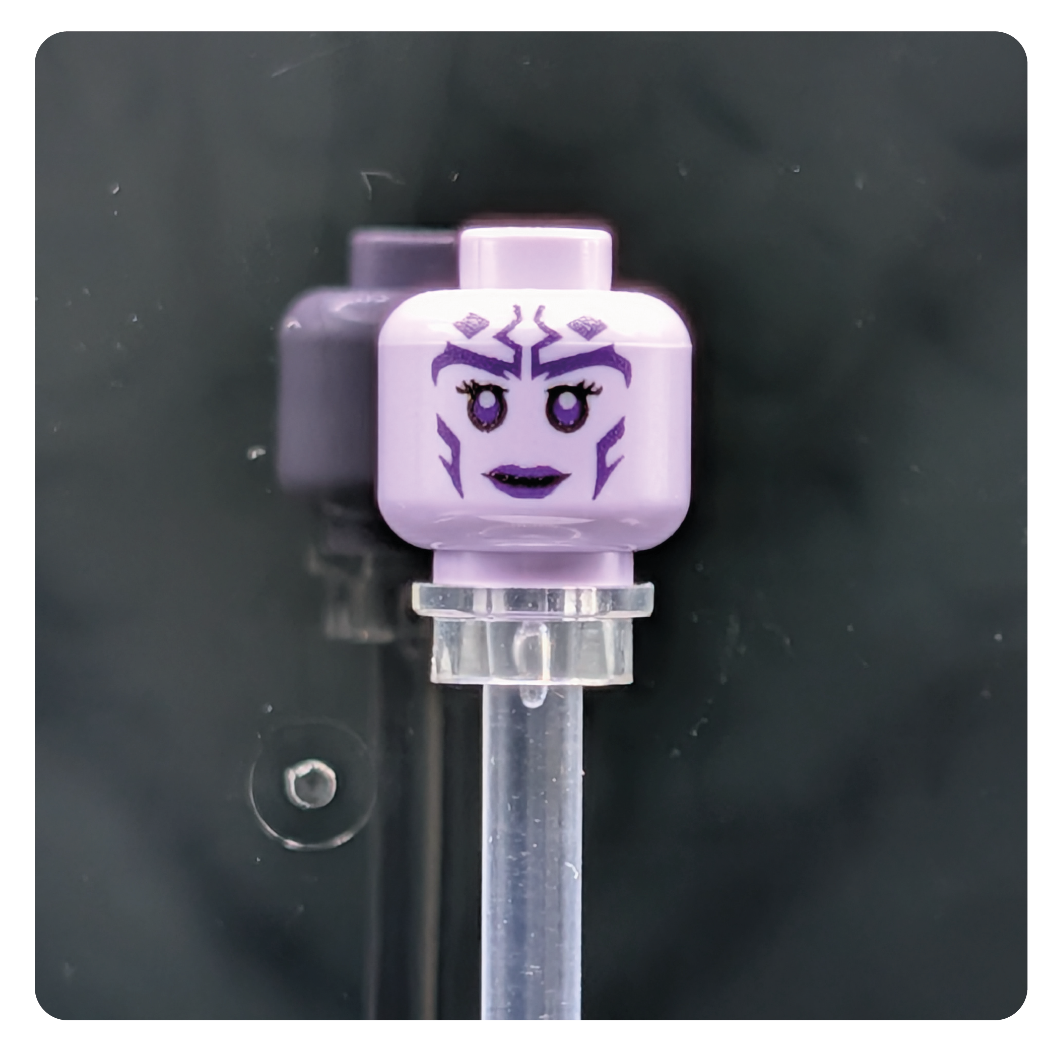 SW Customs Head - Togruta Citizen