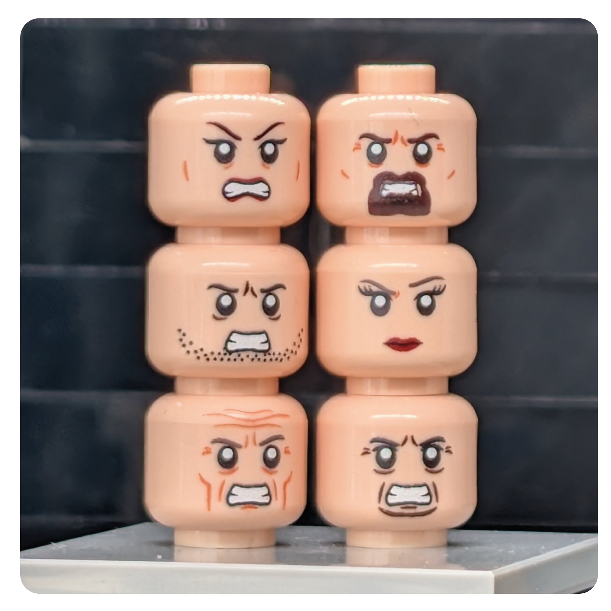 SW Customs NICEPRICE Heads 6-pack Angry