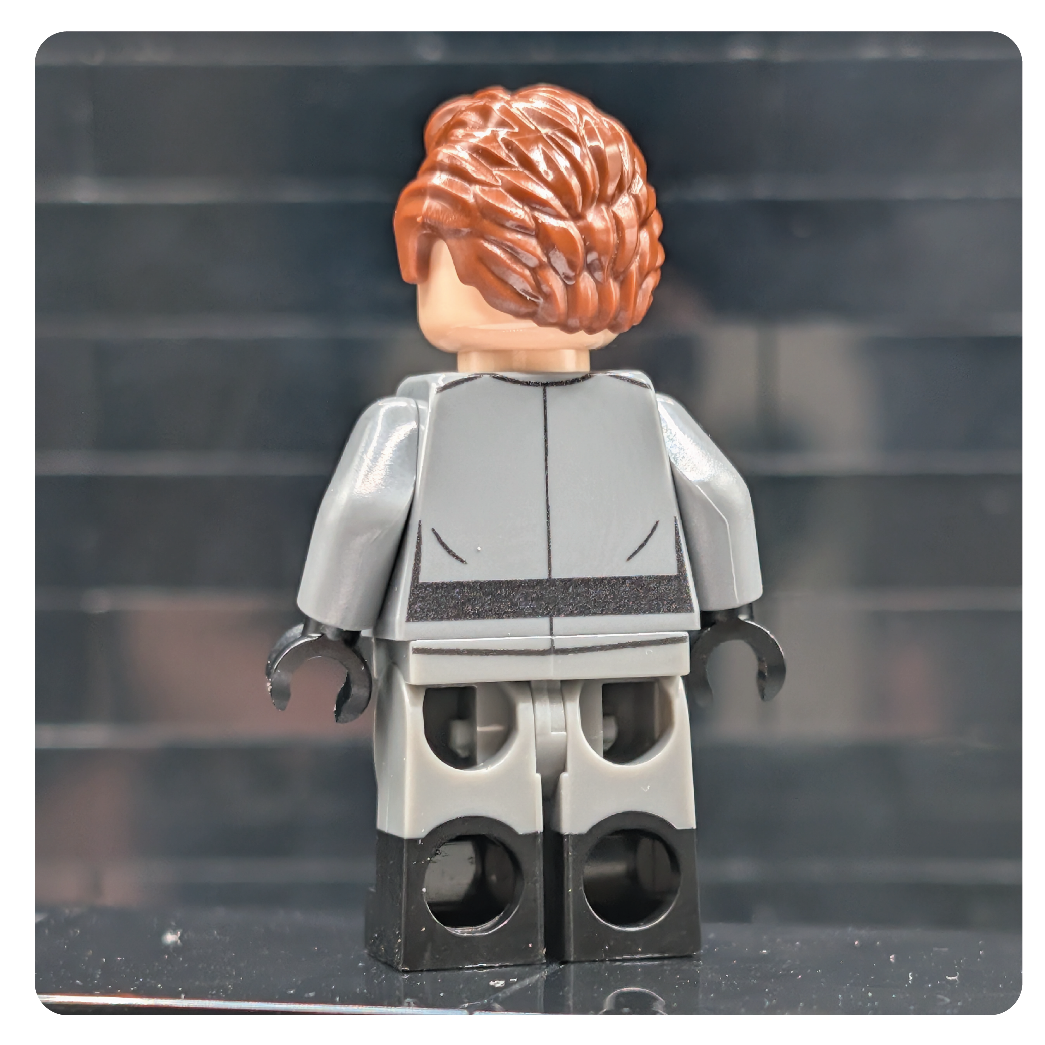 SW Customs Collectible Figure - The Republic Captain