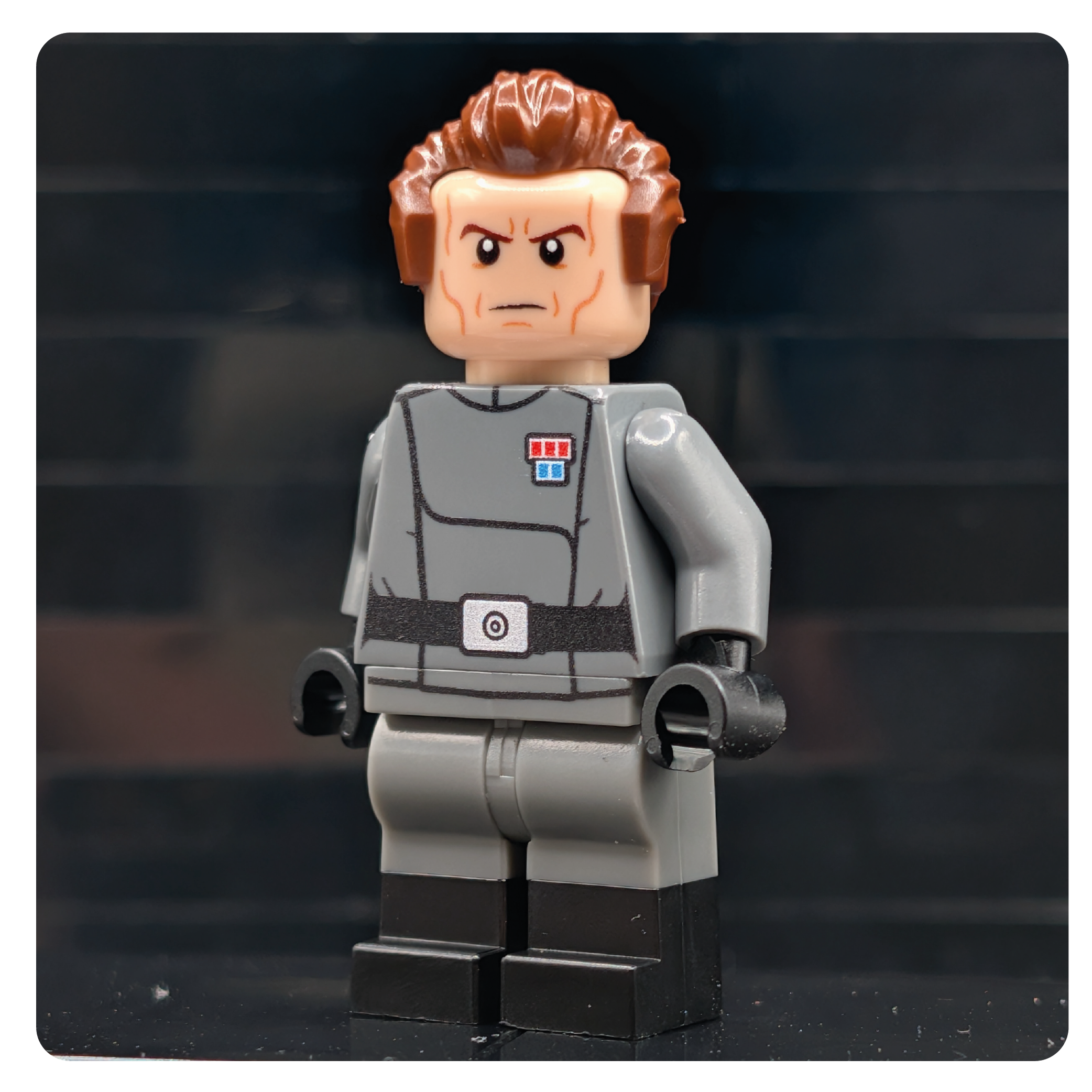 SW Customs Collectible Figure - The Republic Captain