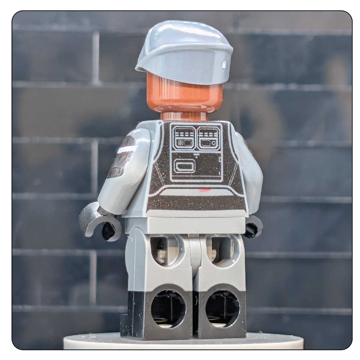 SW Customs Collectible Figure - Aldhani Trooper Lieutenant – Hall of Bricks