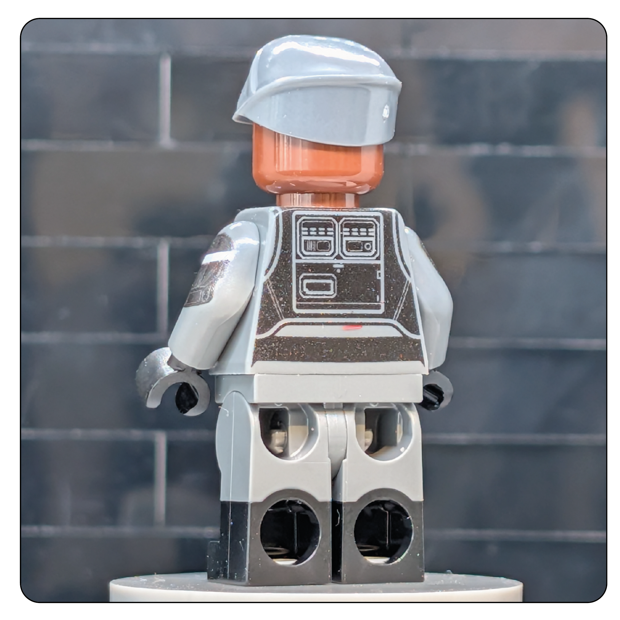SW Customs Collectible Figure - Aldhani Trooper Lieutenant