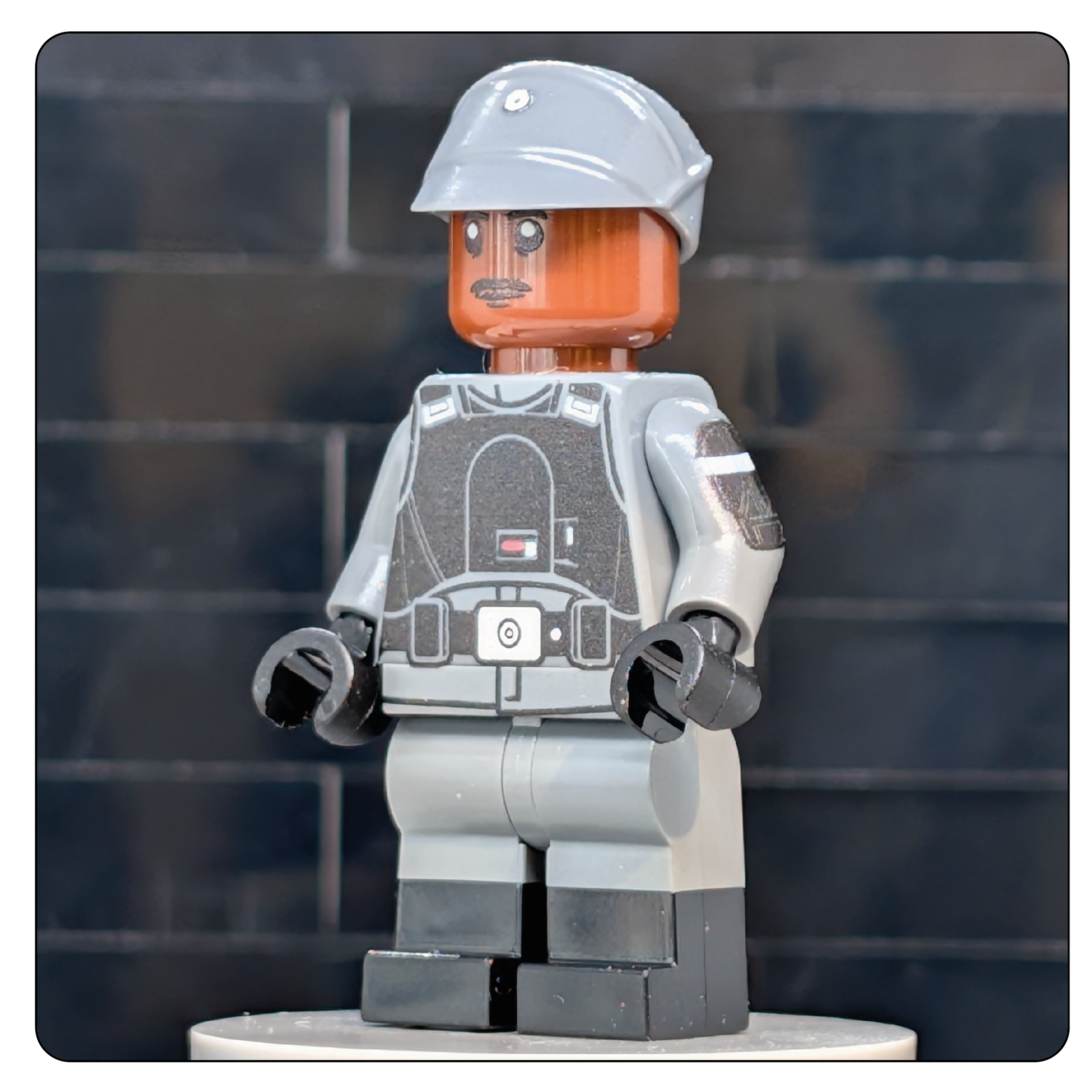 SW Customs Collectible Figure - Aldhani Trooper Lieutenant