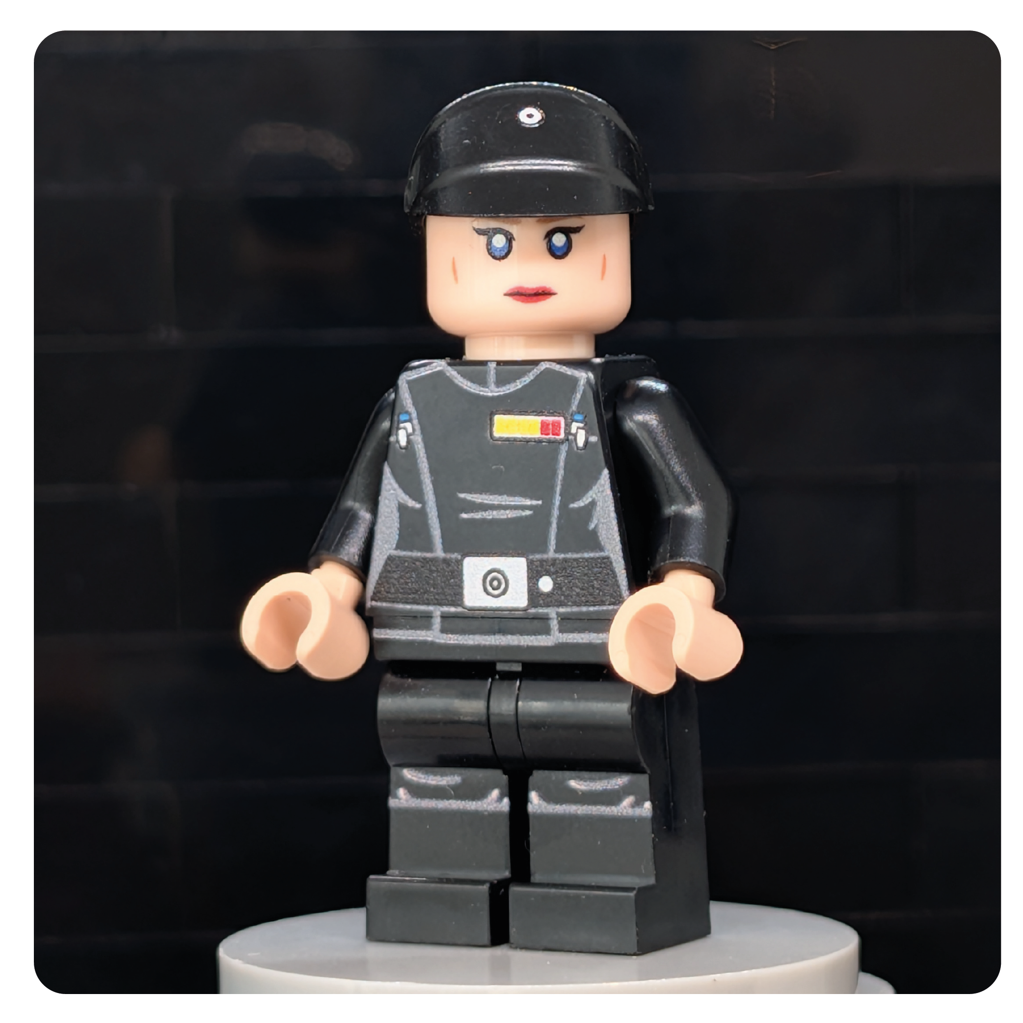 SW Customs Collectible Figure – The Elite Fleet Captain
