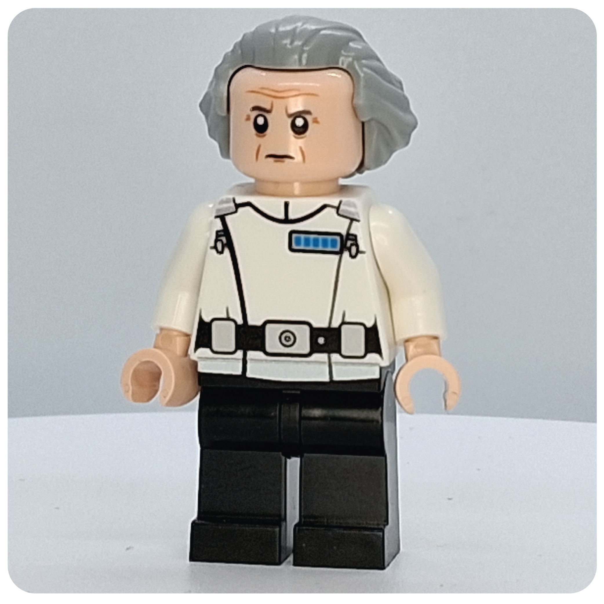 SW Customs Collectible Figure – The Senior Security Architect