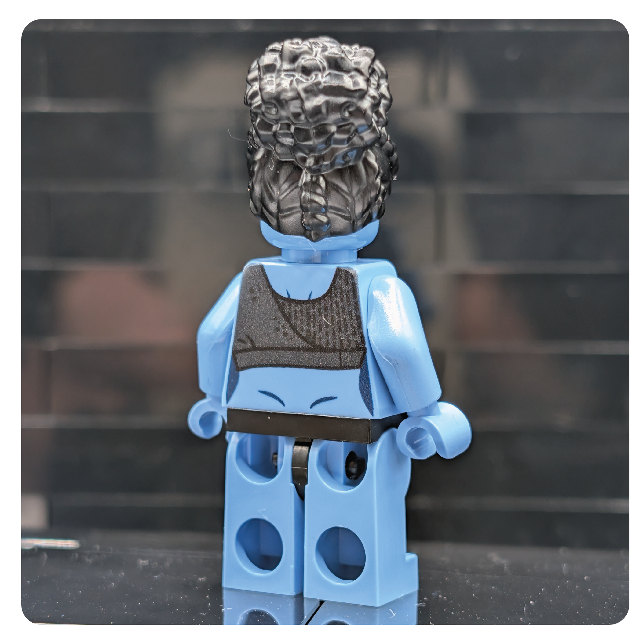 SW Customs Collectible Figure - Blue Brea