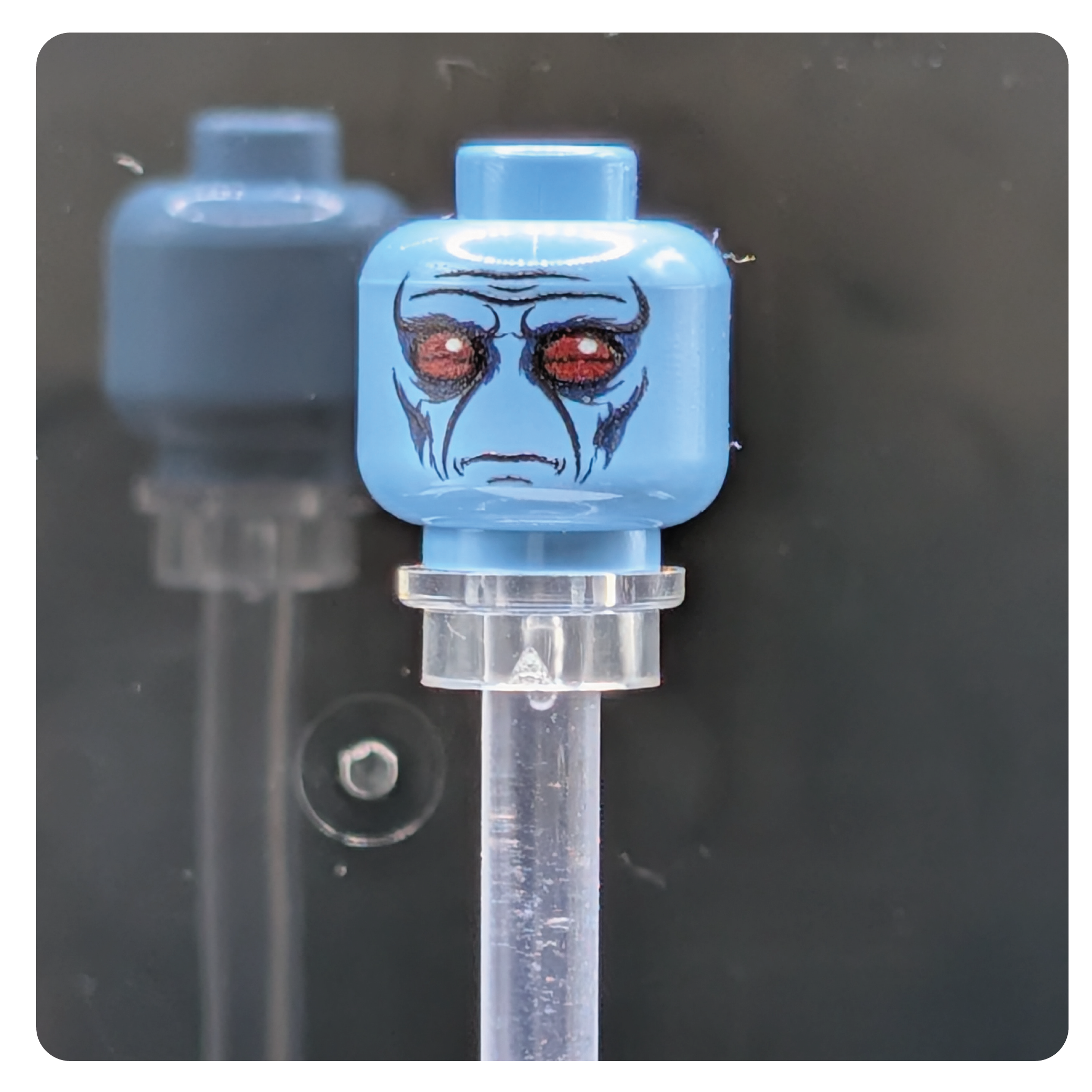 SW Customs Head - Duros Head